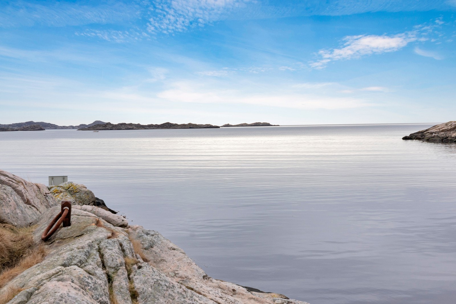 Nærområde. Galleribilde