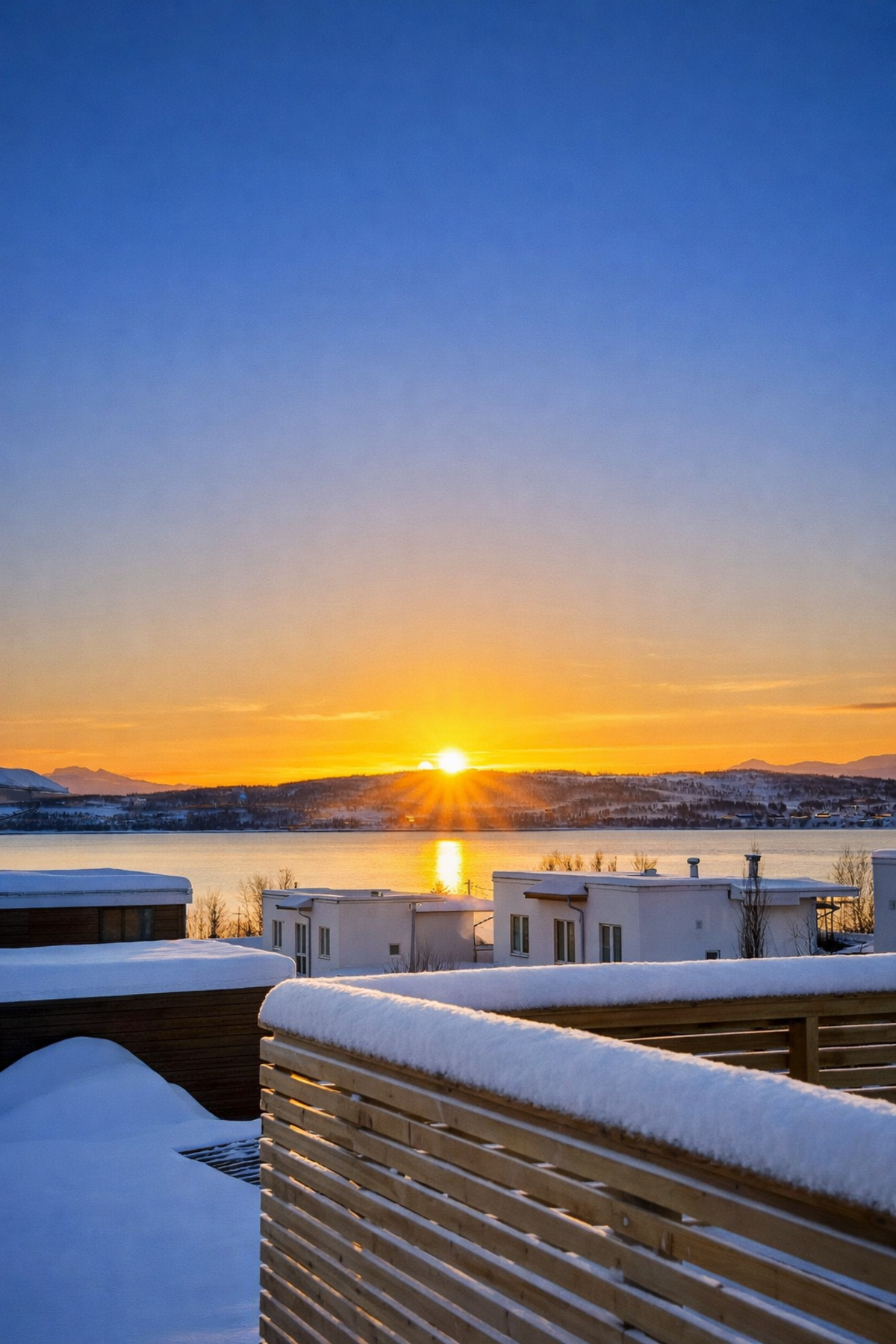 Private bilder. Galleribilde