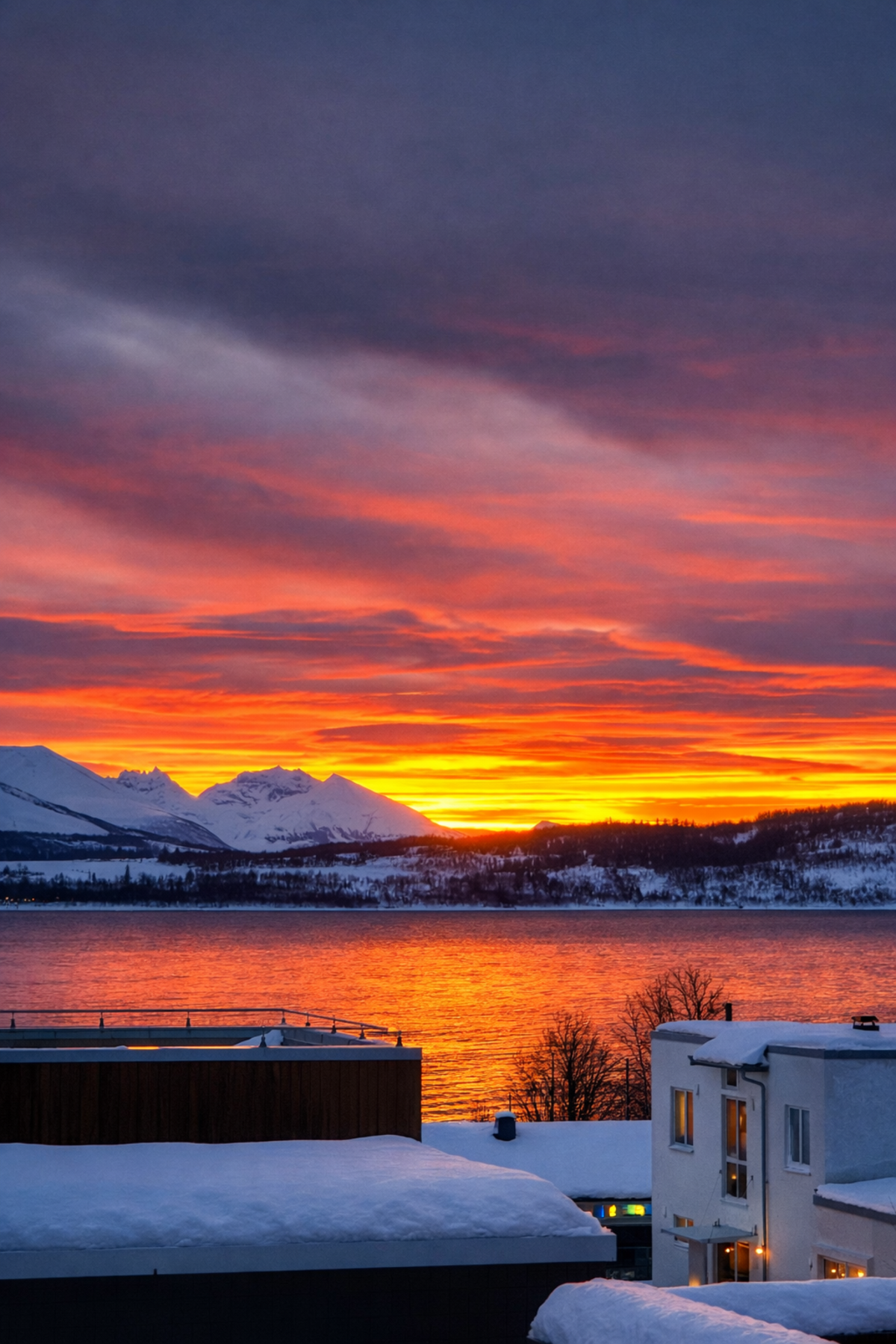 Private bilder. Galleribilde