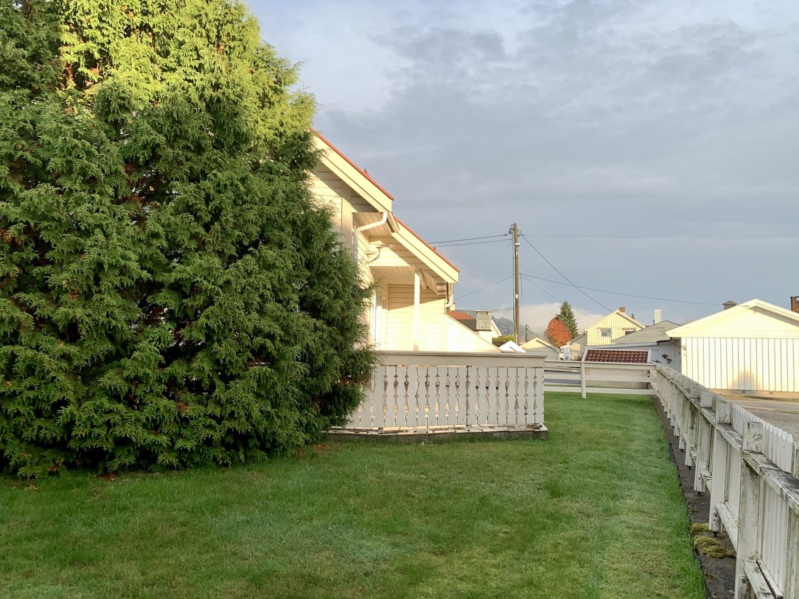 Opparbeidet tomt med gårdsplass og gressplen i hagen, det er noe beplantinger i hagen. Galleribilde