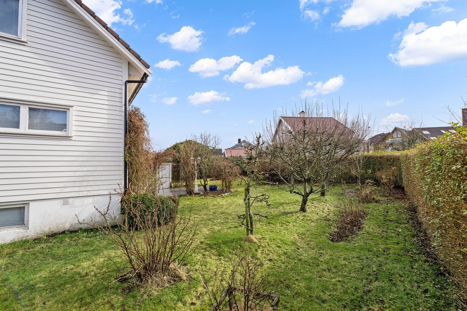 Hagen er pent opparbeidet med plen og diverse beplantning. Galleribilde