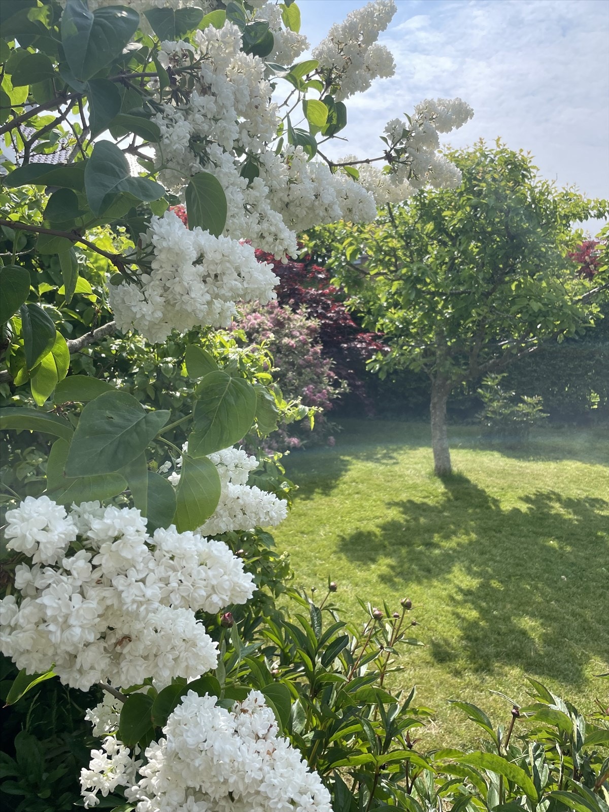 Selgers private bilder Galleribilde