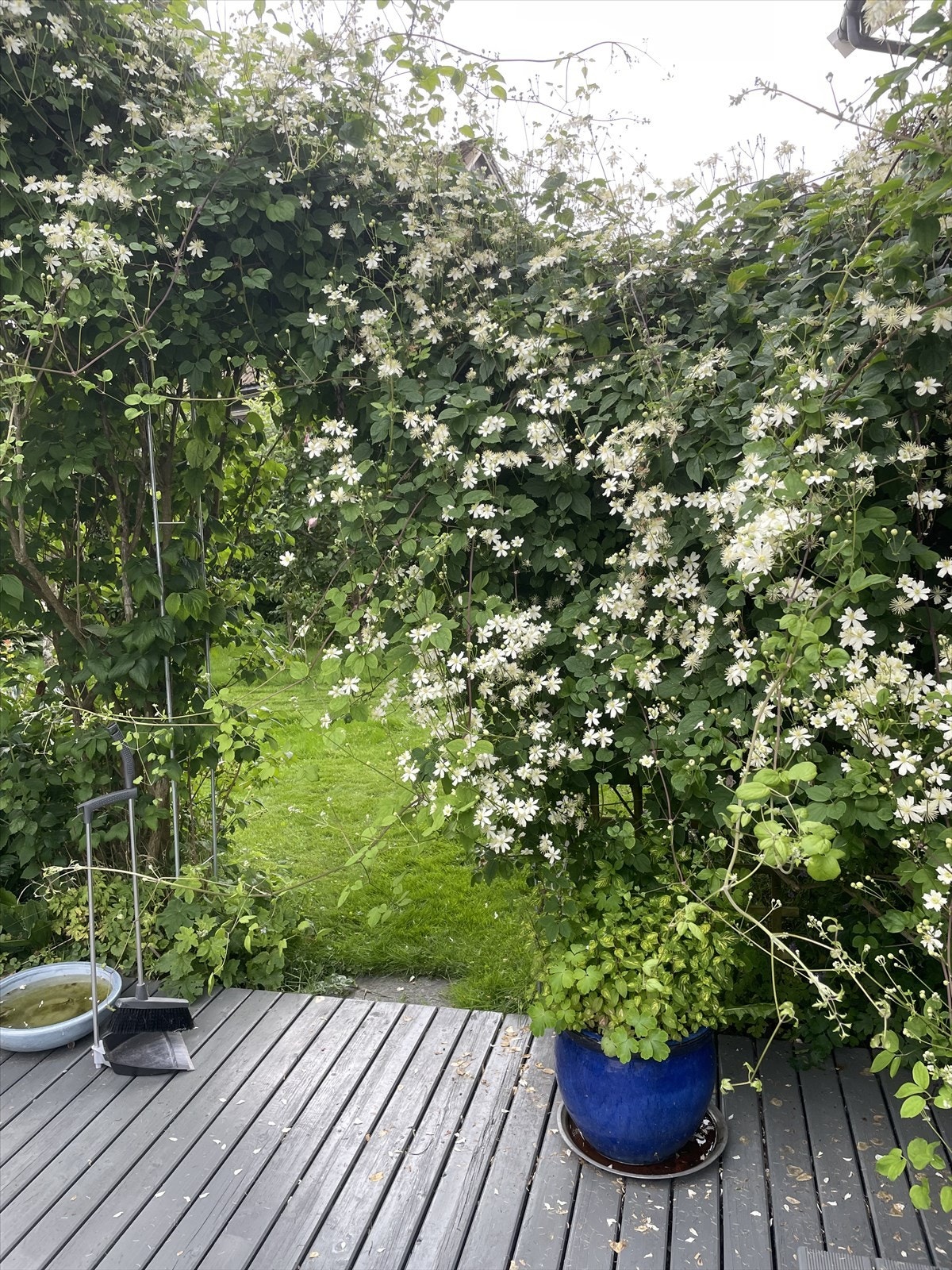 Selgers private bilder Galleribilde