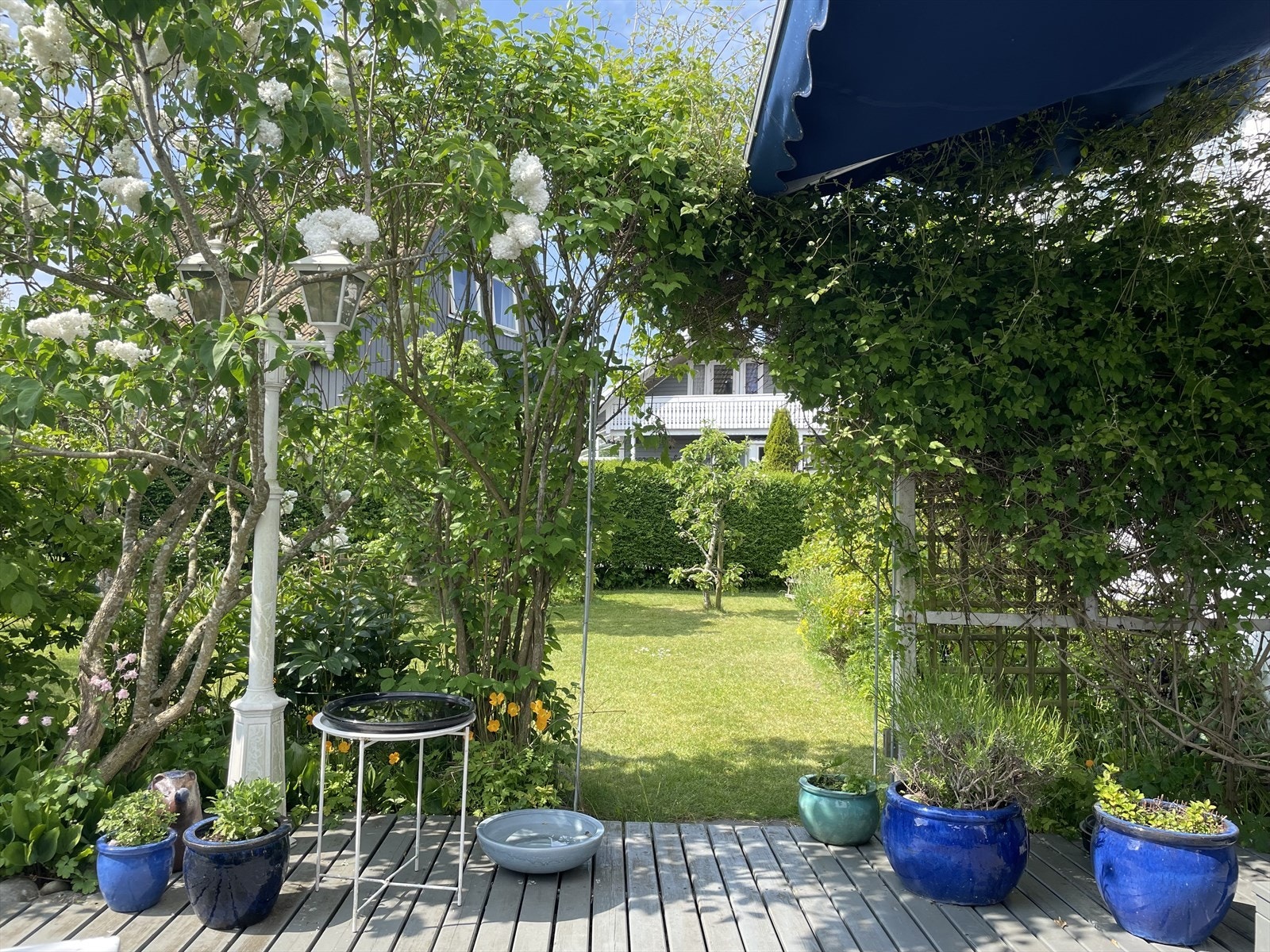 Selgers private bilder Galleribilde