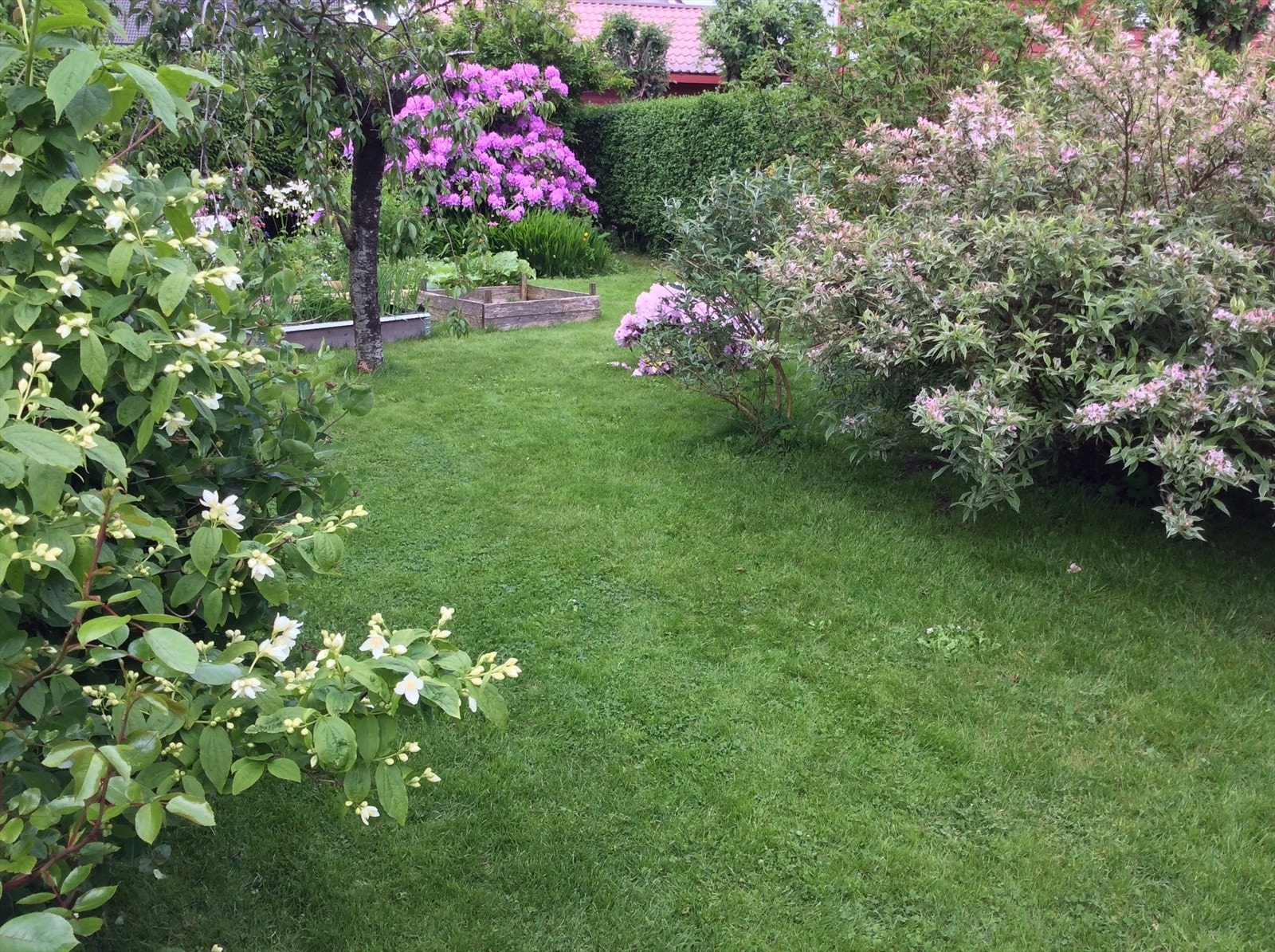 Selgers private bilder Galleribilde