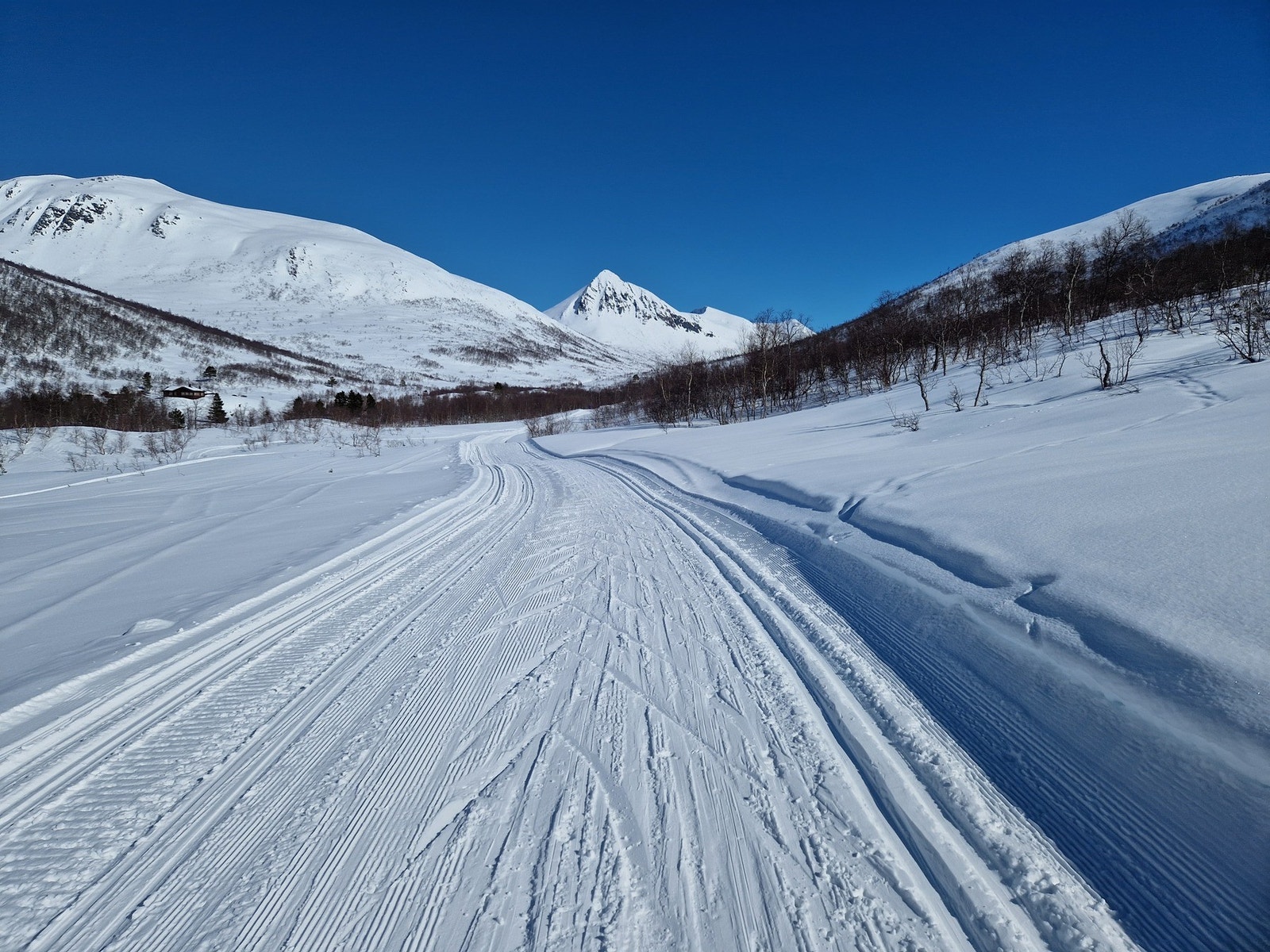 Skiløype i Ljøsådalen Galleribilde