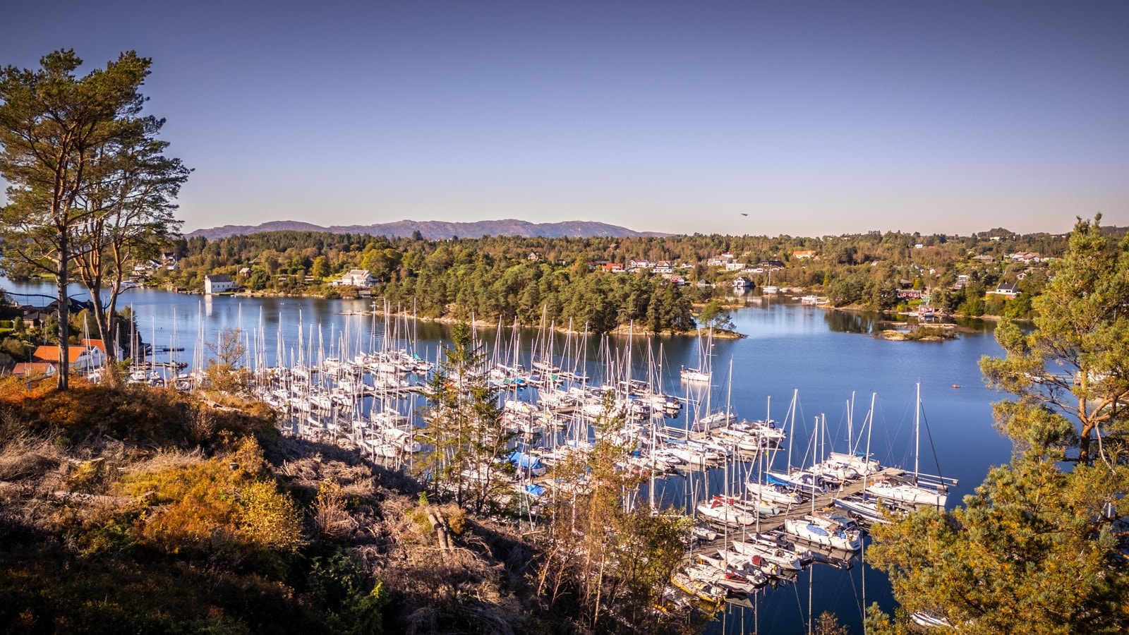 Full oversikt over marinaen Galleribilde