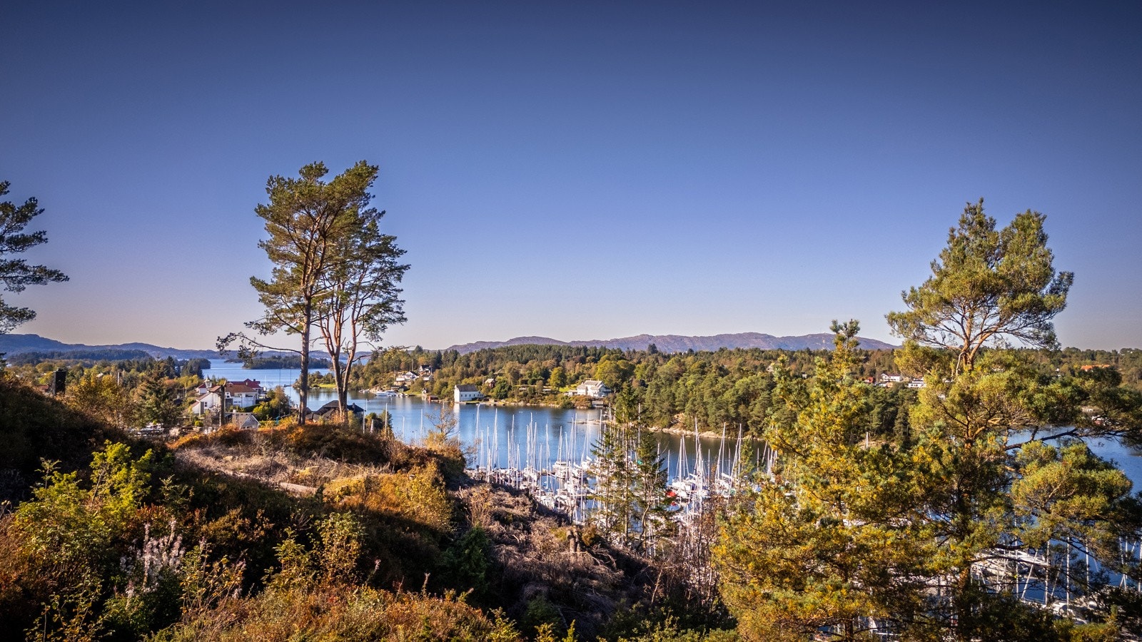 Rammetillatelse er gitt Galleribilde