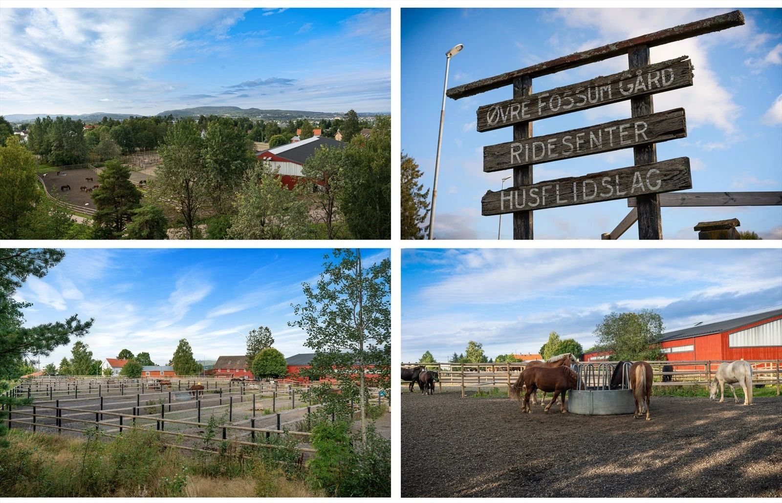Historiske Øvre Fossum Gård ligger også like ved og er et fint sted å besøke både for store og små. Galleribilde