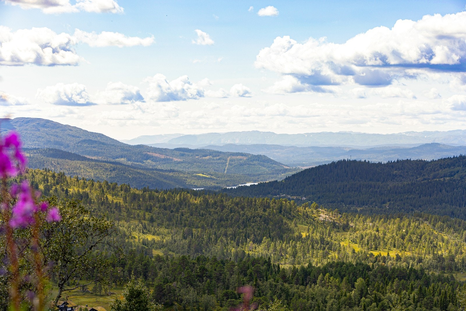 Panoramautsikt over skianlegget, snaukledde fjell, vannspeil og vakker natur. Galleribilde