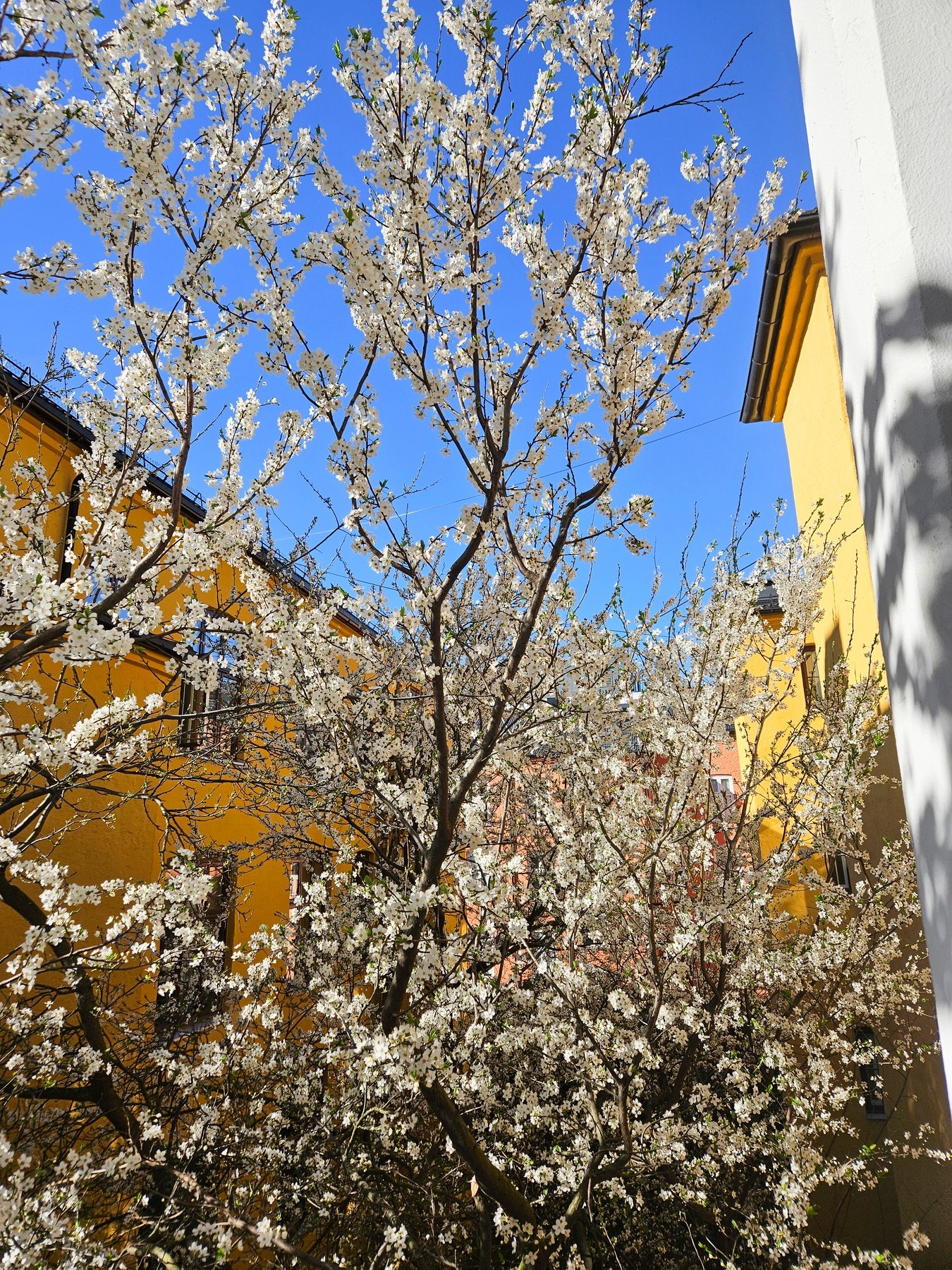 Idyllisk utsyn fra balkongen (bilde fra selger) Galleribilde