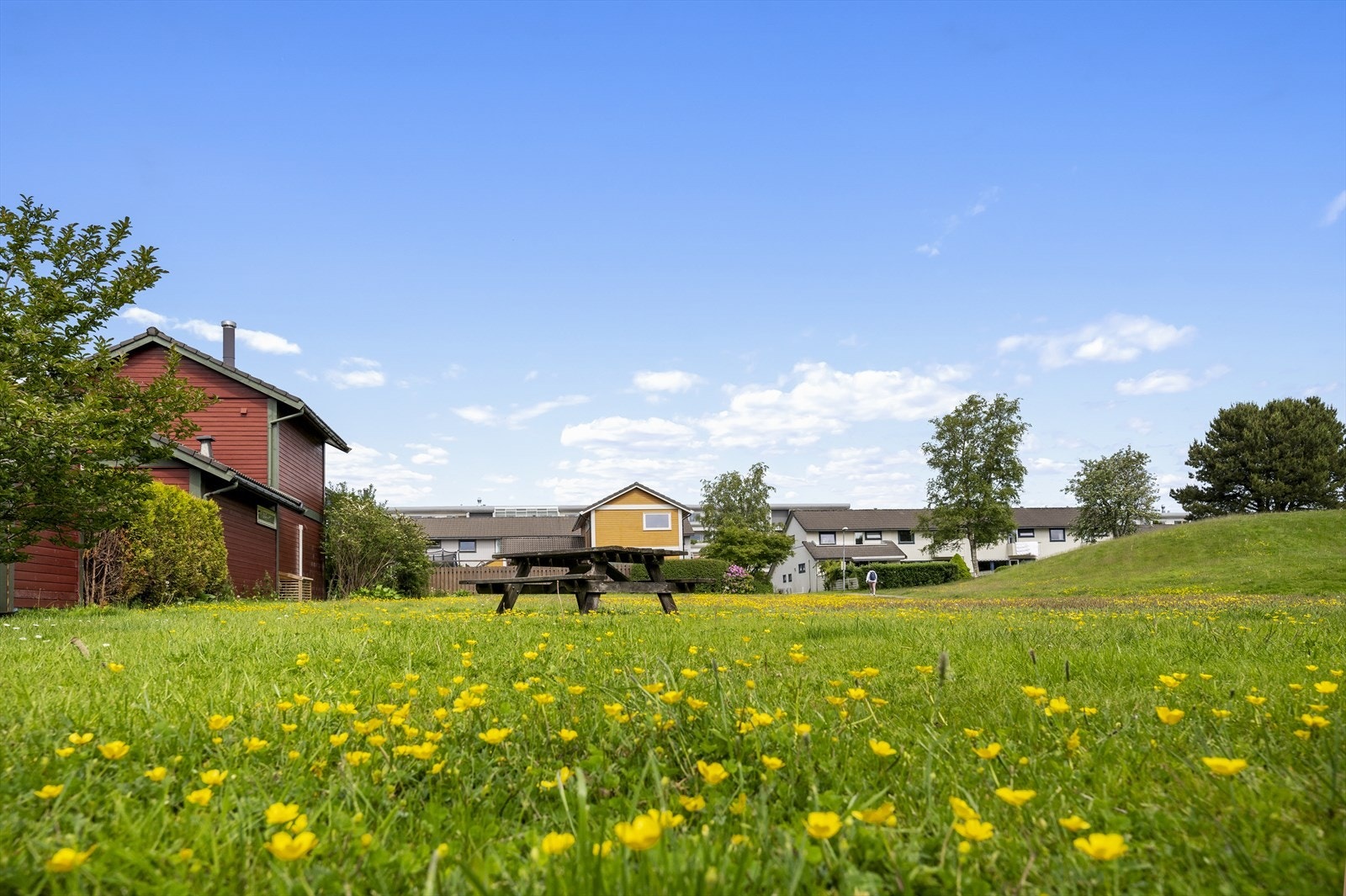 Det er flotte grøntareal i nærområdet. Galleribilde