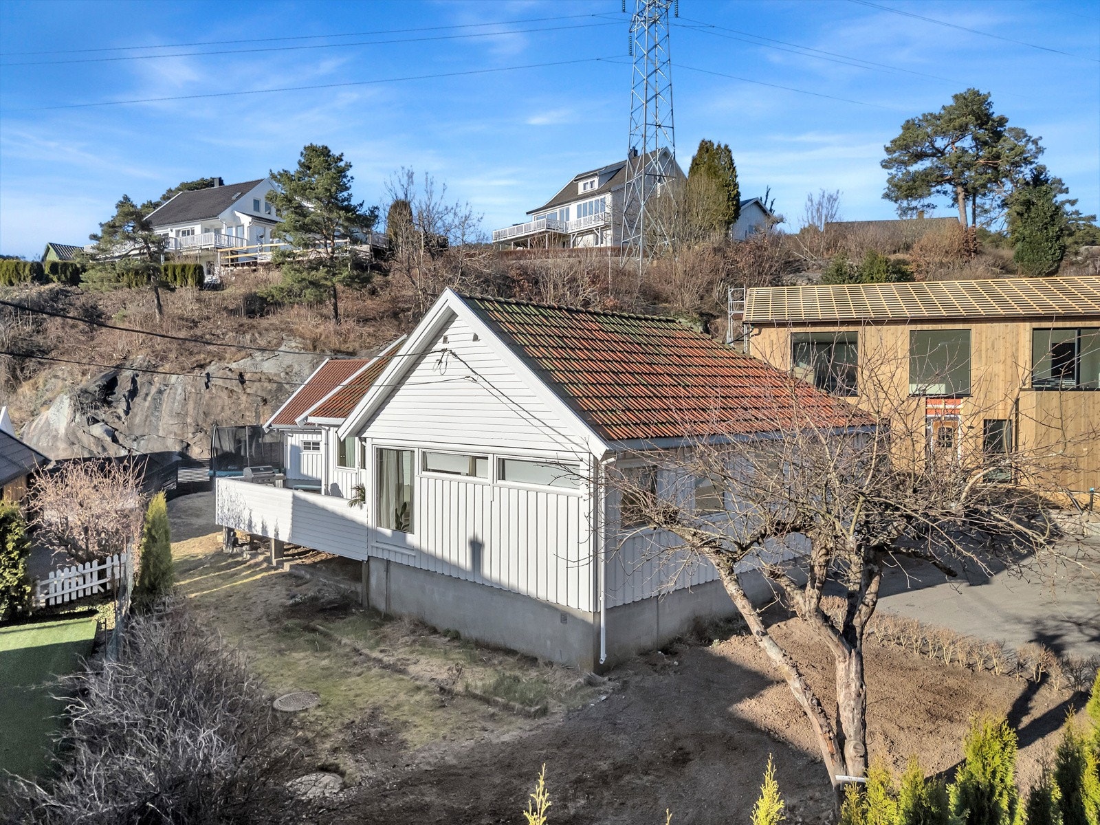 Flere bærbusker og frukttre på tomten Galleribilde