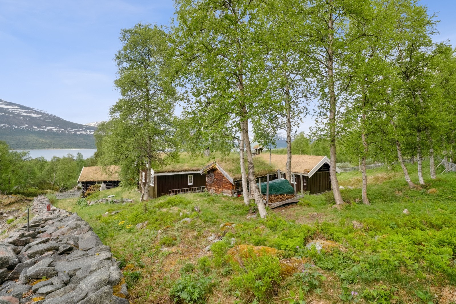 Hyttetunet er 14861 kvm. Her er det uproblematisk å sanke ved til eget bruk. Galleribilde