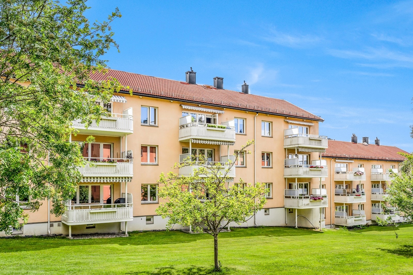 Borettslaget har store og grønne friarealer med frukttrær, en rekke sitte- og grillplasser samt parsellhage. (Arkivbilde 2023) Galleribilde