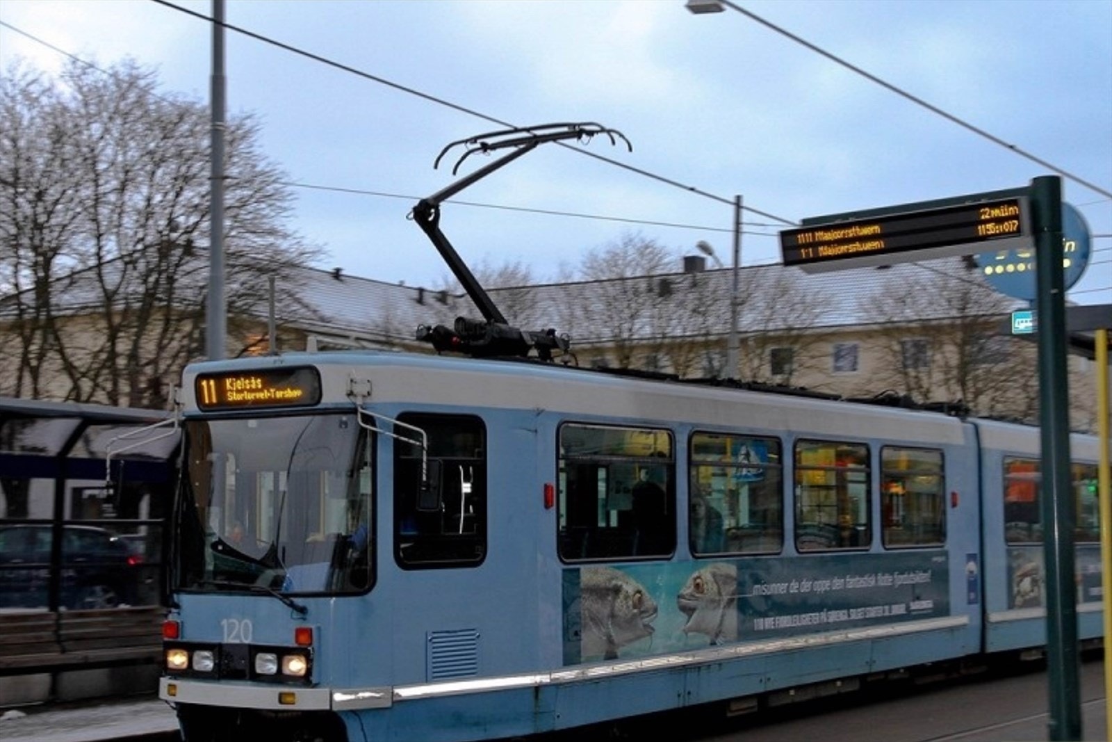Trikken tar deg enkelt opp og ned til byen. Galleribilde