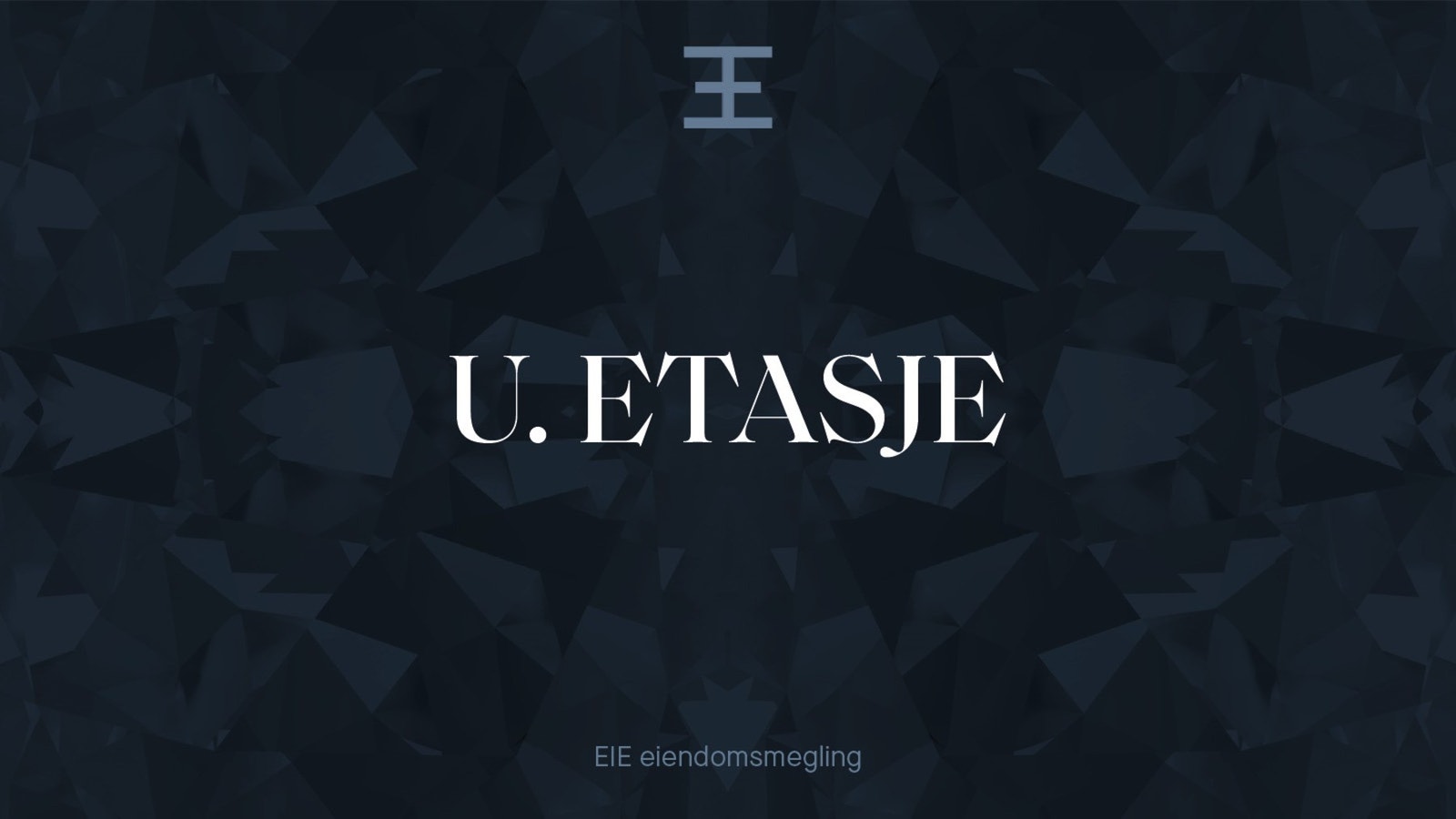 Underetasje Galleribilde