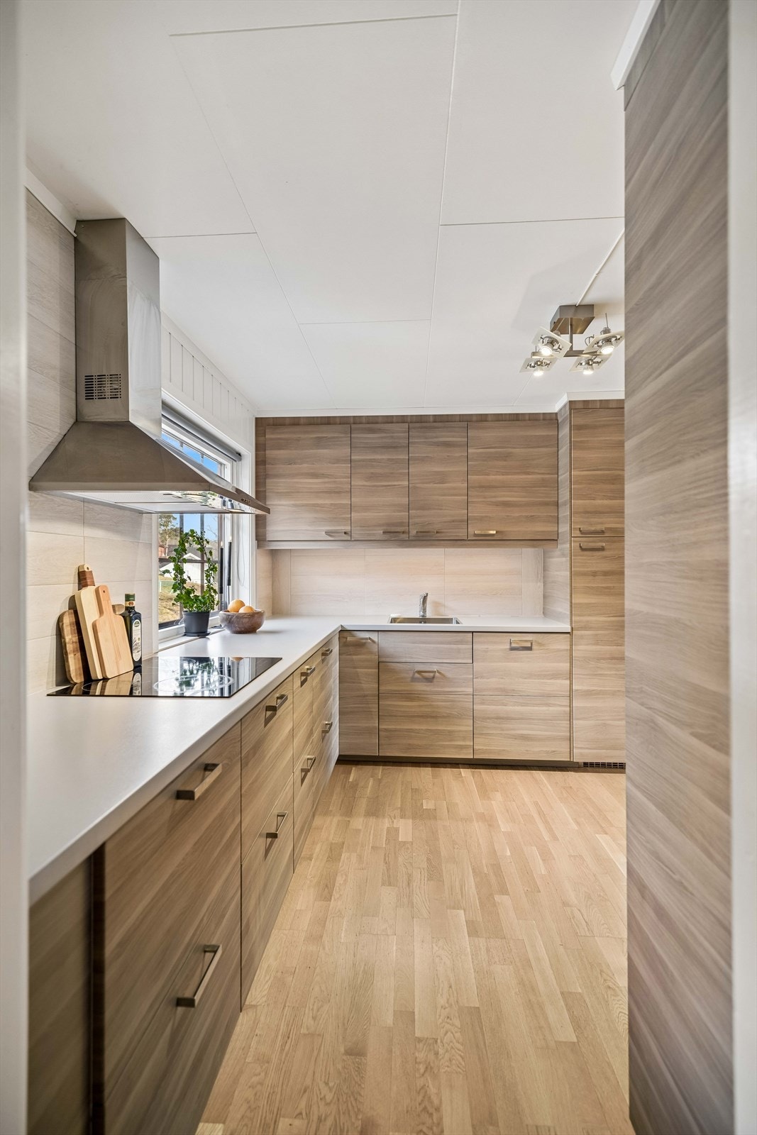 Laminatbenkeplate gir gode arbeidsflater, og avtrekksviften har utkast til friluft. Galleribilde