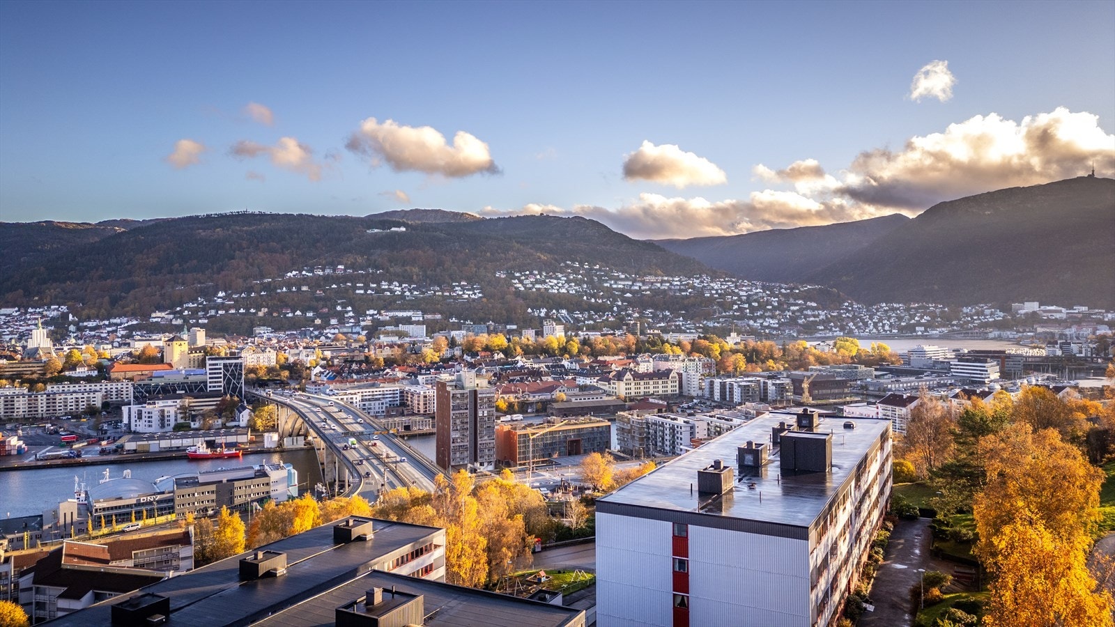 Velkommen til visning - Husk påmelding! Galleribilde