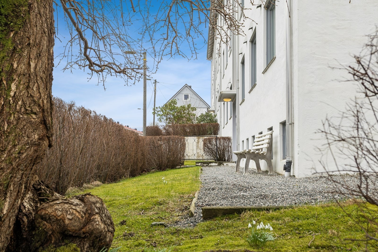 Laget har trivelig uteplass - perfekt for en kaffe i morgensolen! Galleribilde