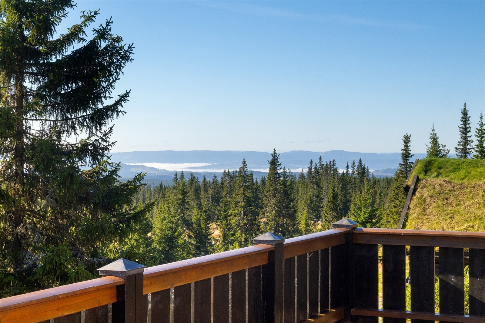 Utsikt fra terrasse på sommeren. Galleribilde