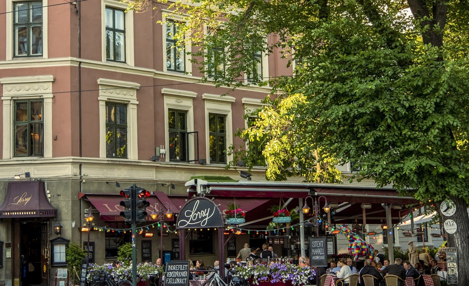 Områdebilde. Galleribilde