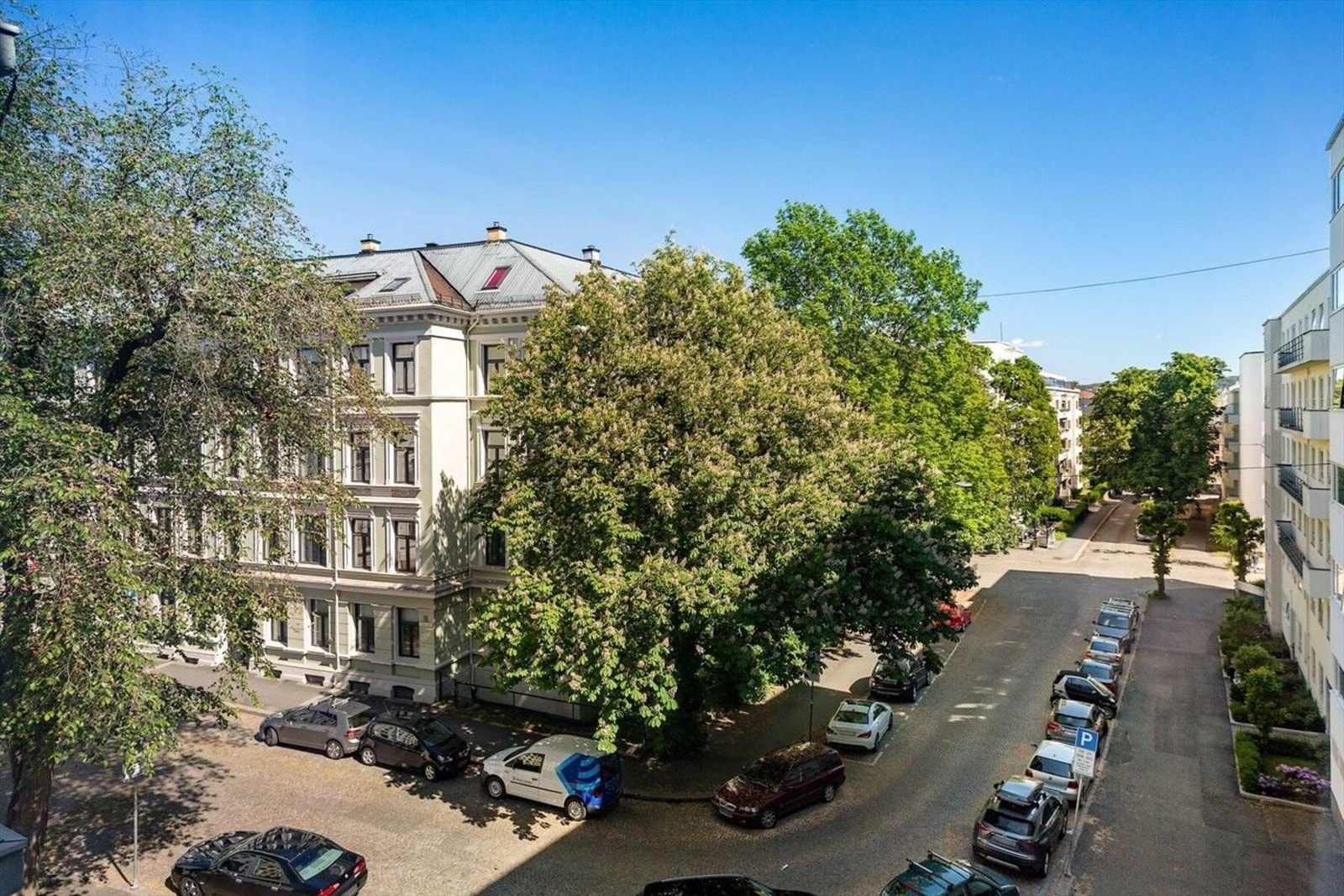 Nærmiljø på sommerstid. Galleribilde