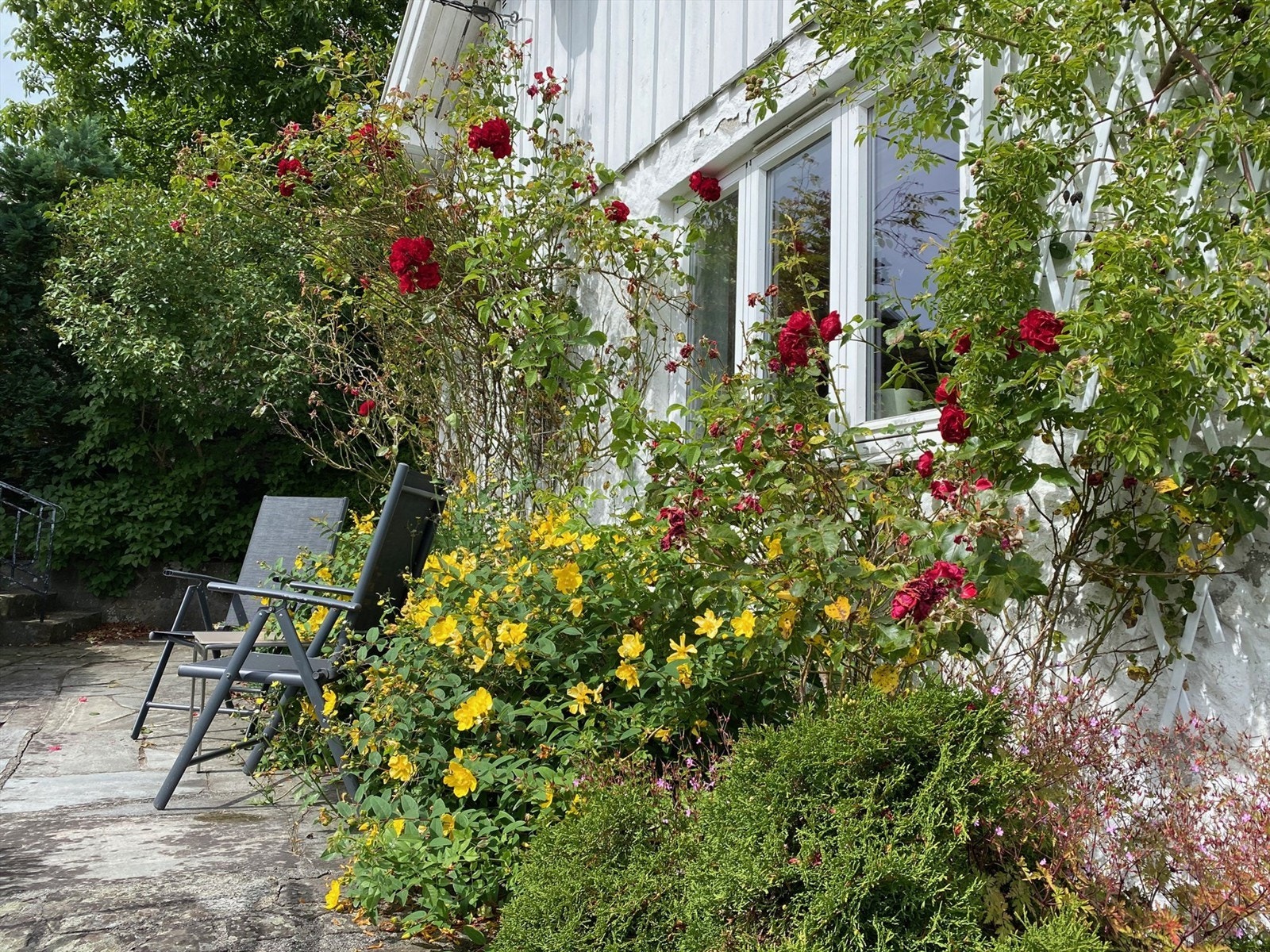 Privat bilde Galleribilde