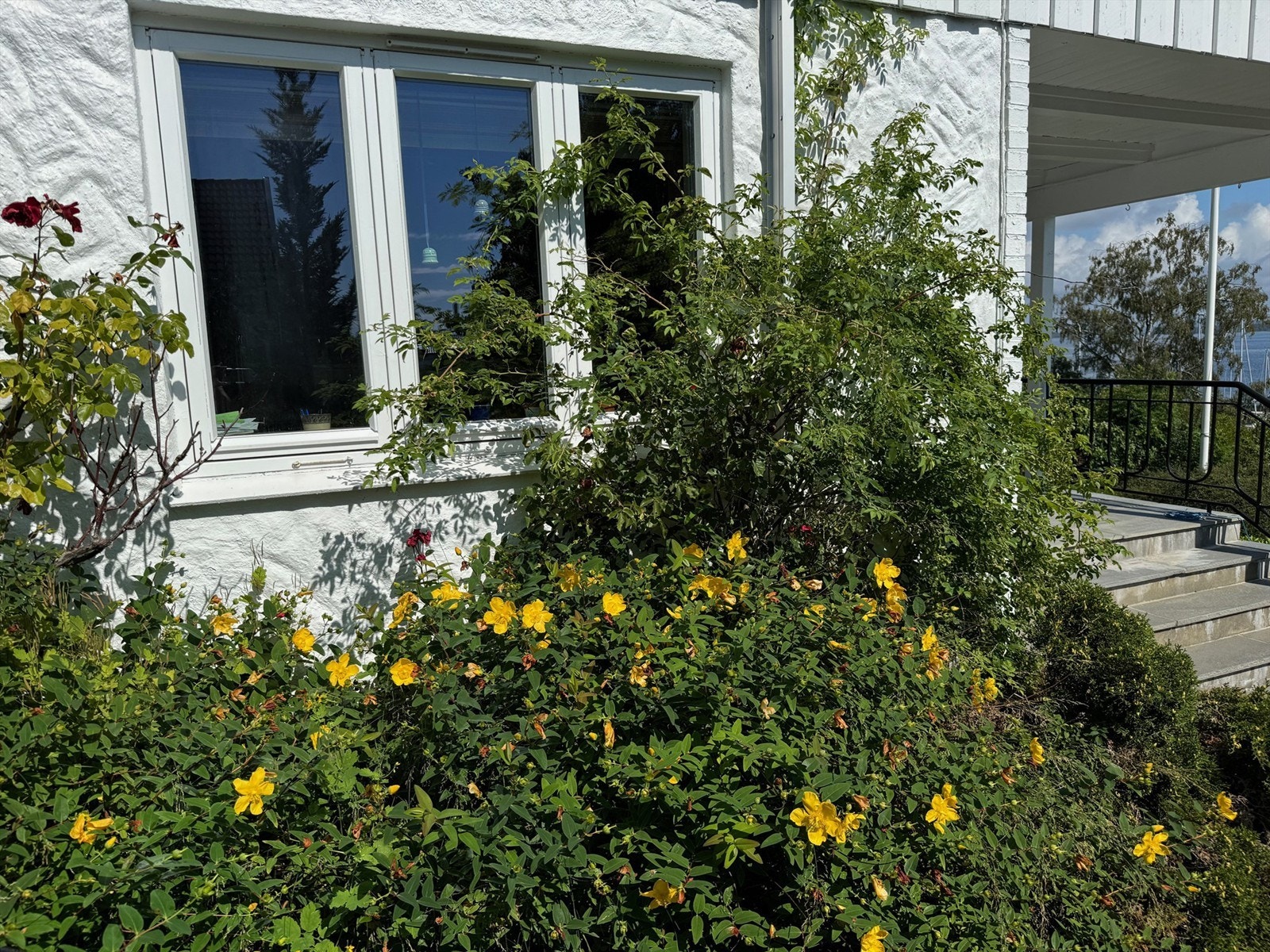 Privat bilde Galleribilde