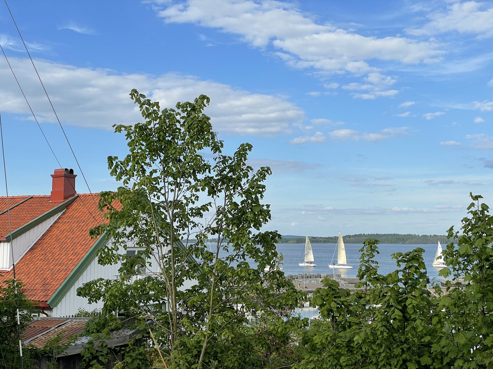 Tatt fra nabogaten Galleribilde