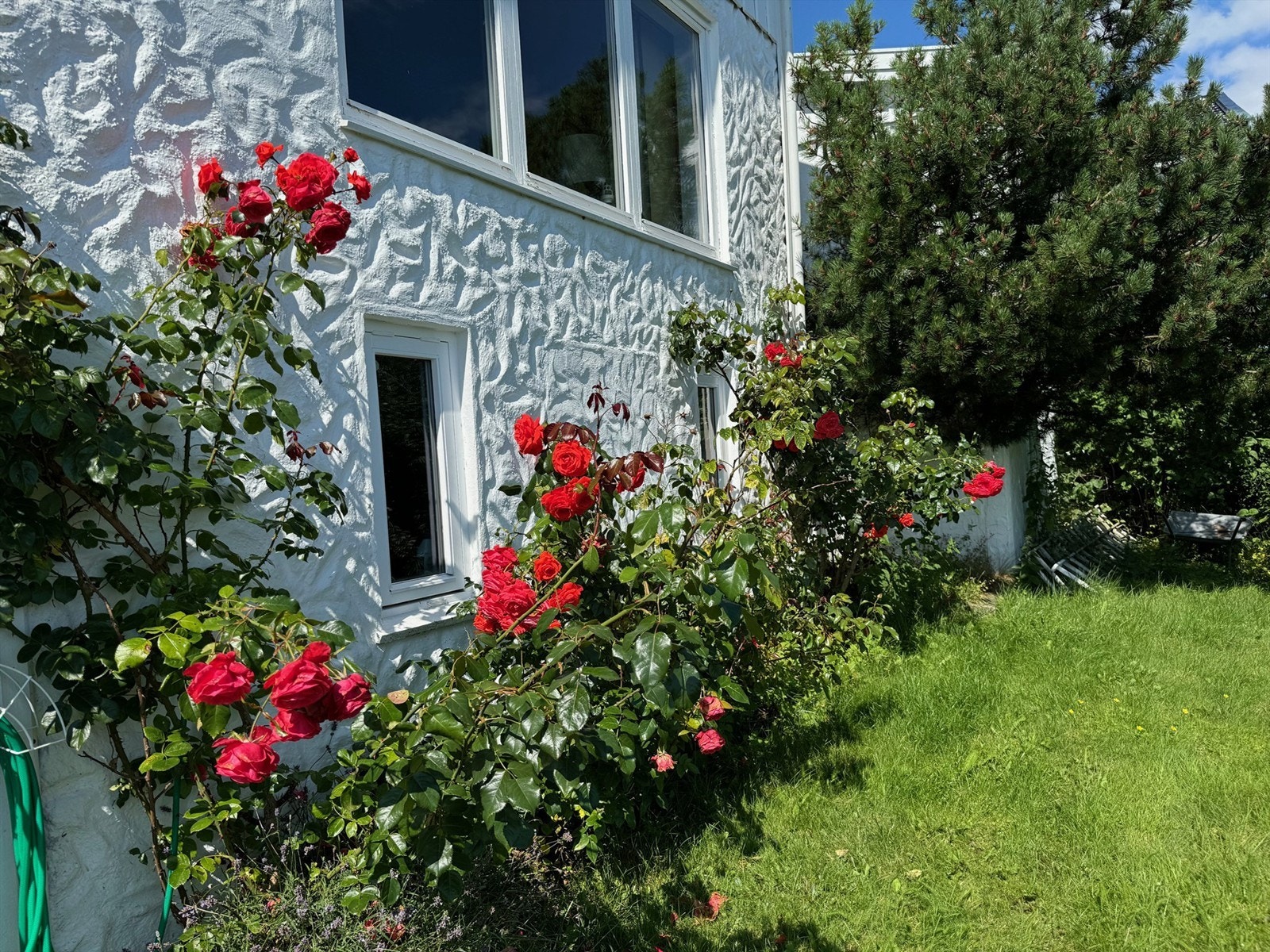 Privat bilde Galleribilde