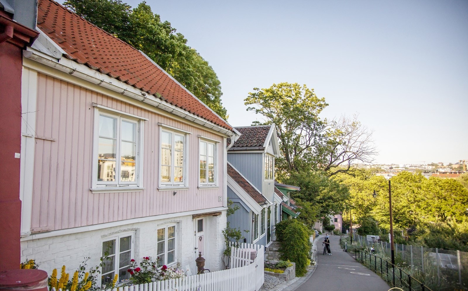 Områdebilde. Galleribilde