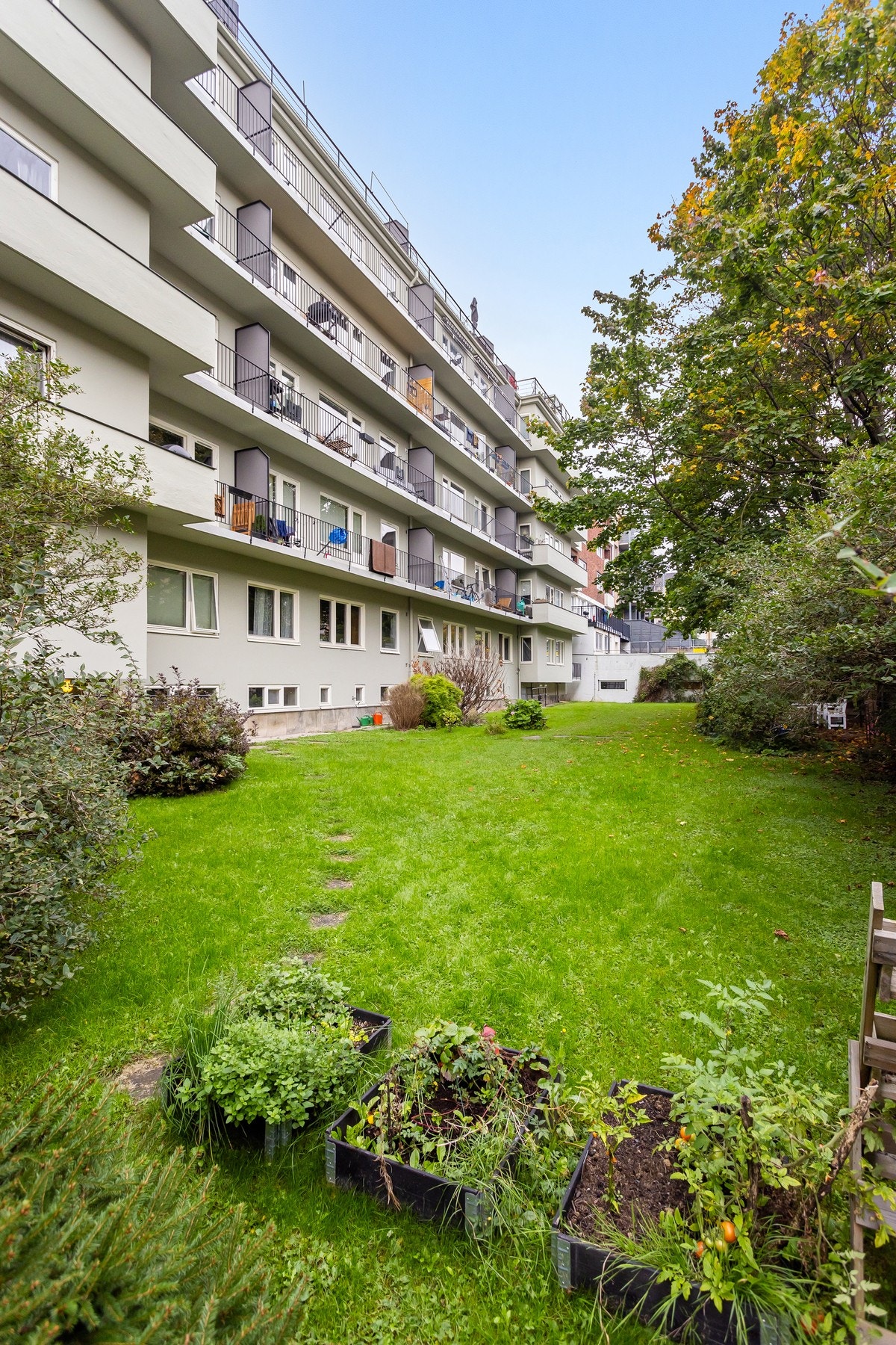 Fellesarealer opparbeidet med asfalterte internveier, plenarealer og diverse beplantning. Galleribilde