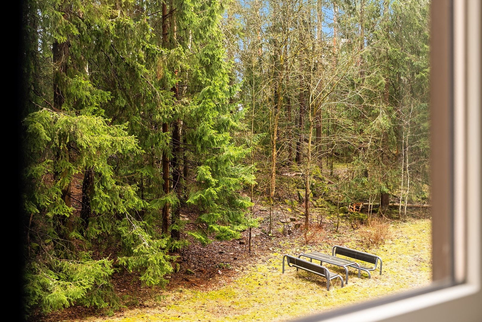 Boligen har frodige grøntarealer rett utenfor døren. Her er det lett å finne roen! Galleribilde