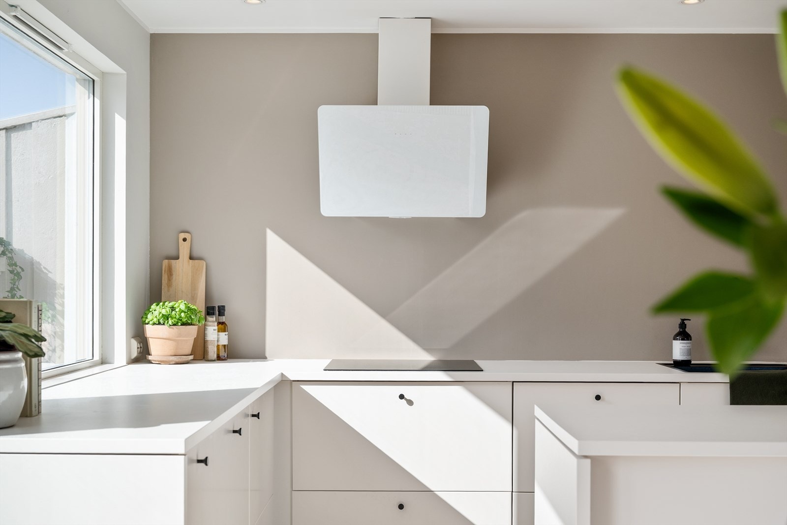 Lyst og delikat kjøkken med stilren ventilator og gode lysforhold som fremhever rommets moderne uttrykk. Galleribilde