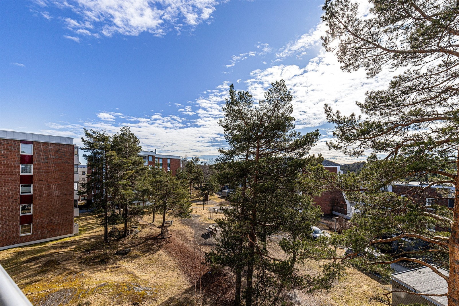 Utsyn over områdets grøntarealer. Galleribilde