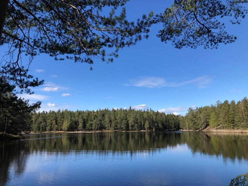 Nærmiljø: Hvitsteintjenn Galleribilde