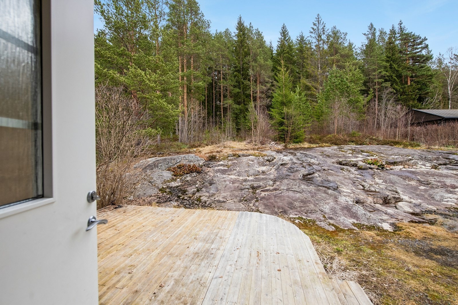 Fin og skjermet uteplass på inngangssiden, med skogen tett på. Galleribilde