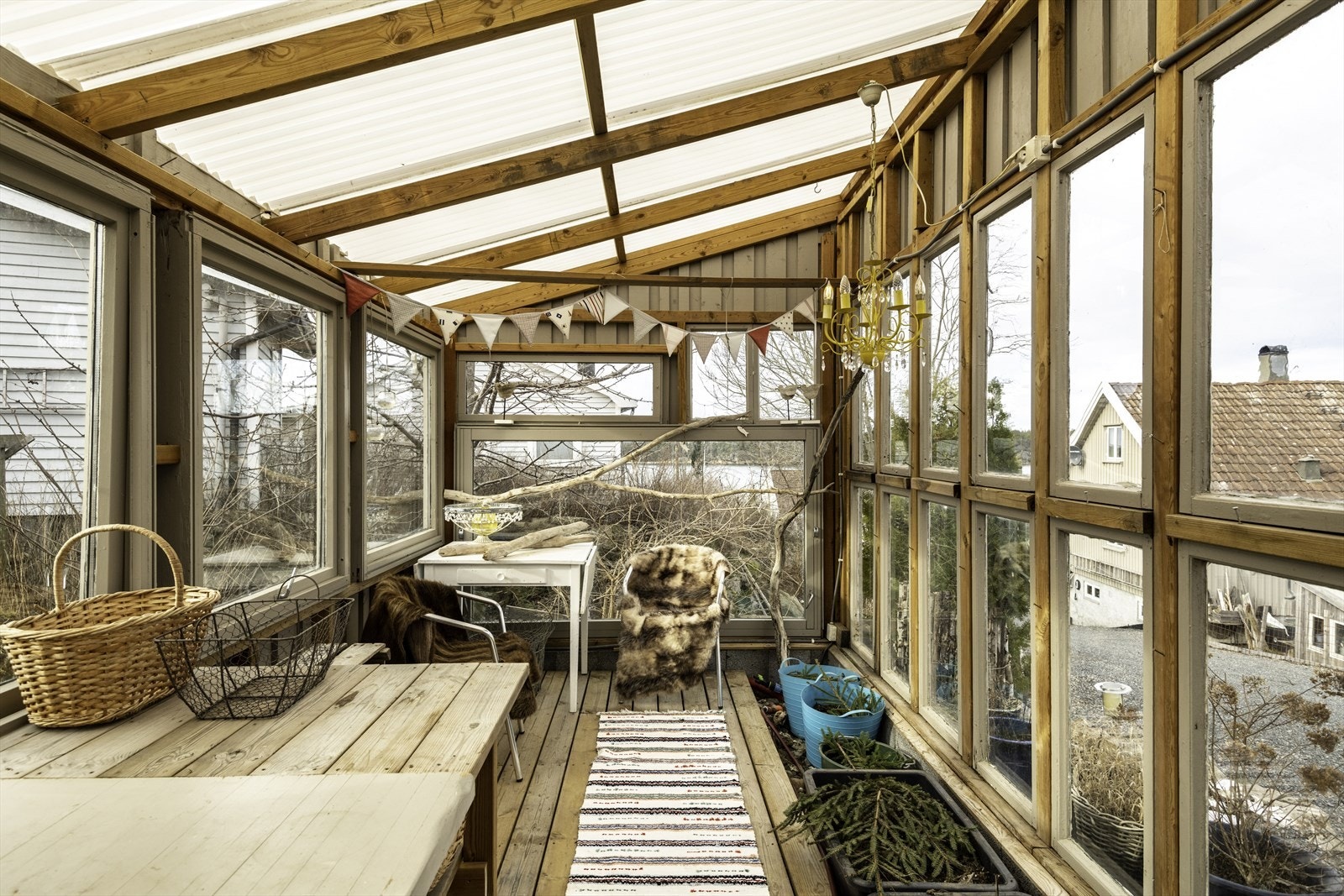 Drivhus Galleribilde