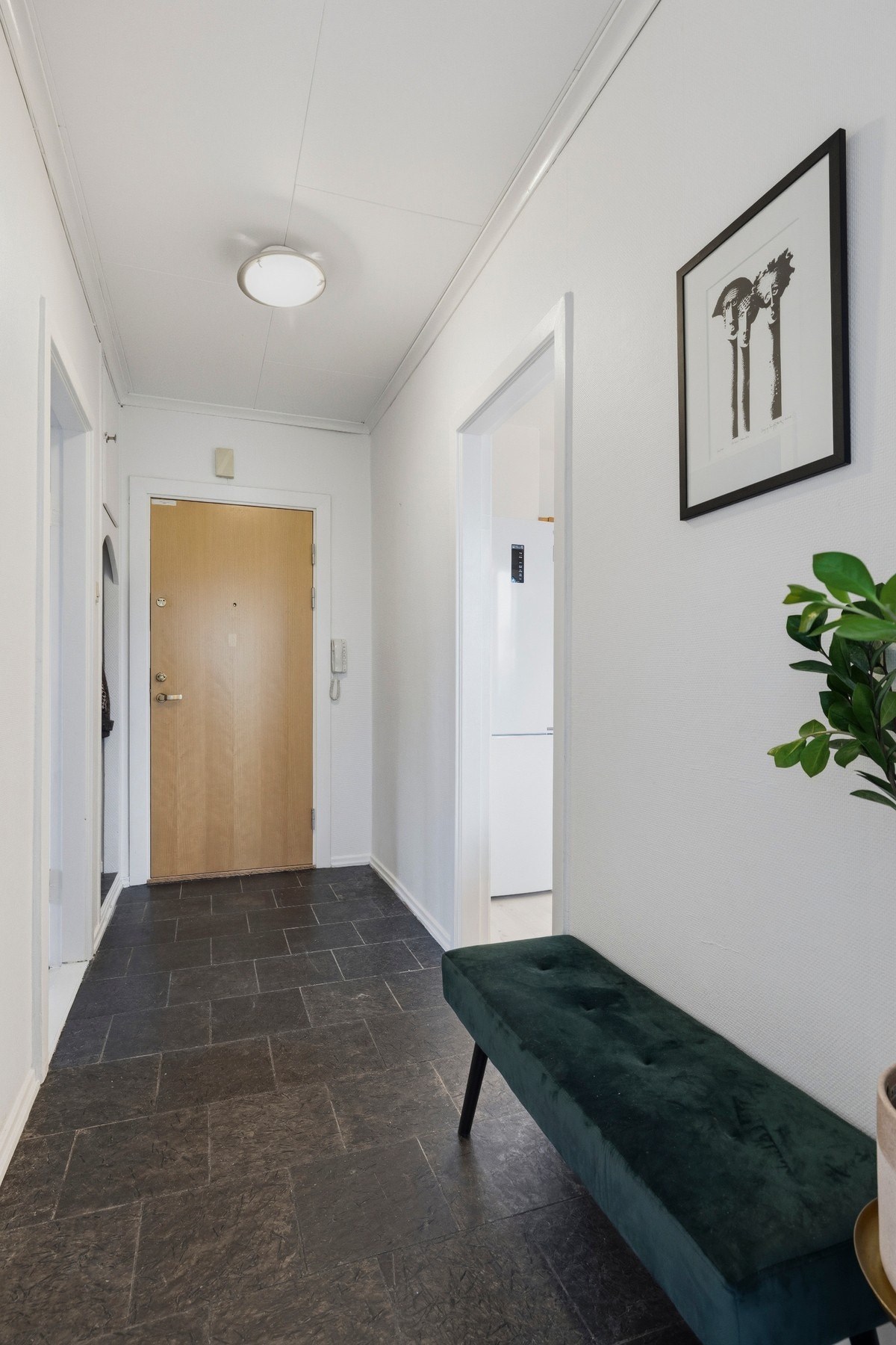 Entreen har en funksjonell størrelse som gir god plass Galleribilde