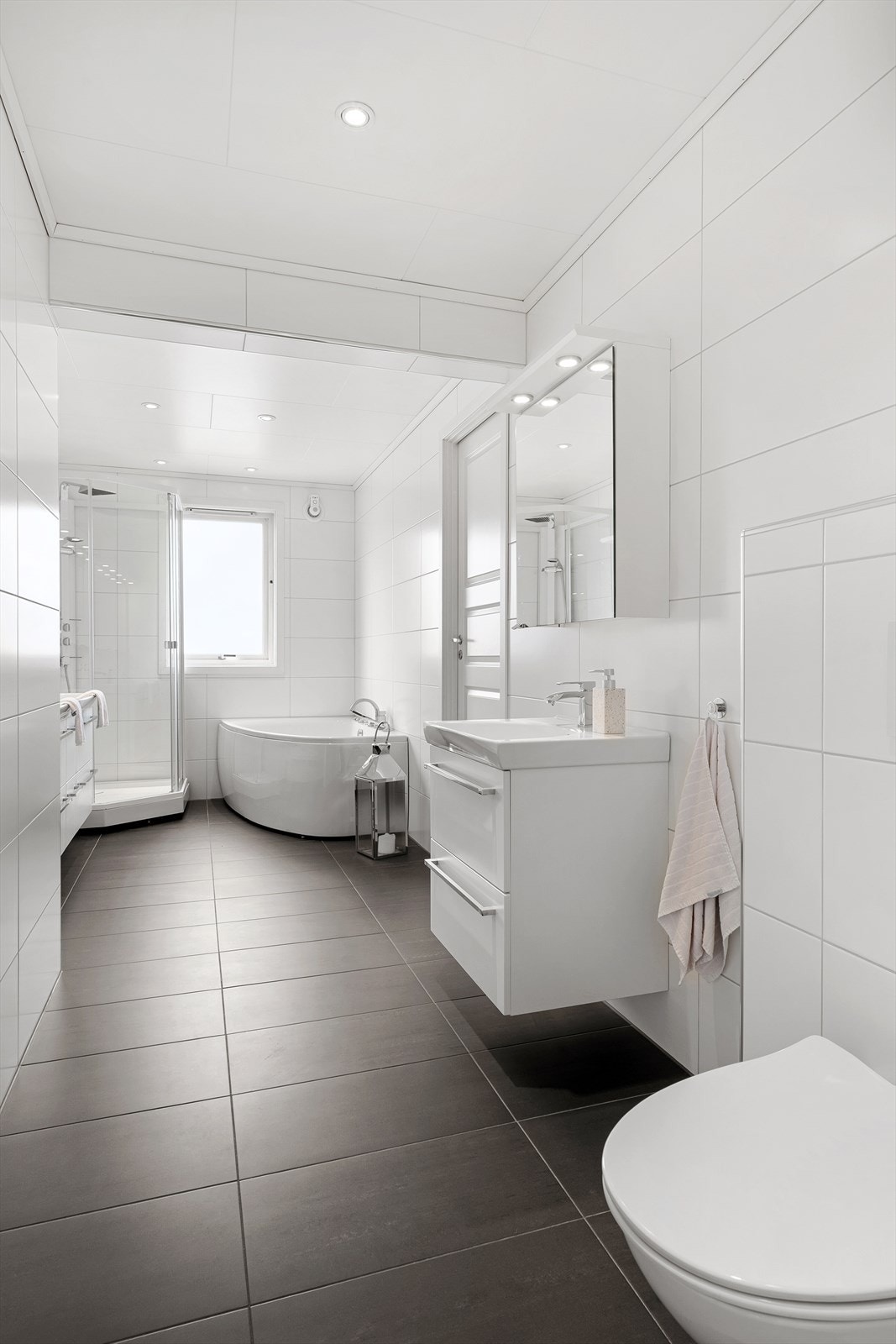 Vegghengt wc. Galleribilde