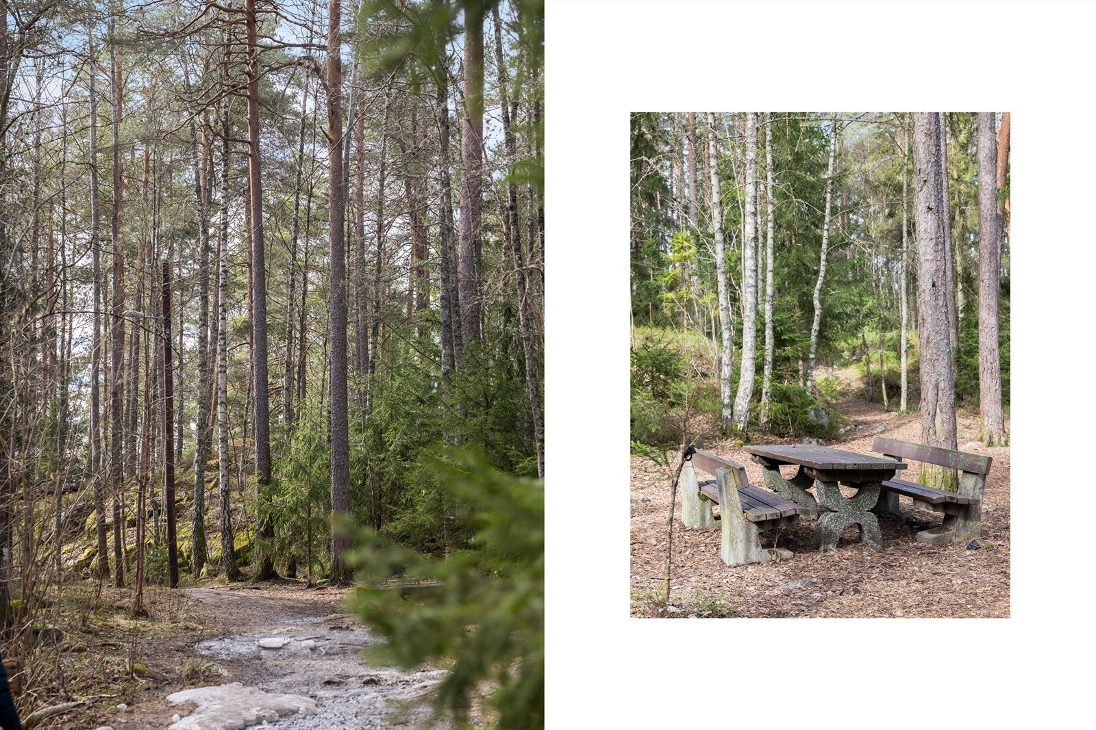 Rekreasjonsmuligheter for løping, sykling eller rolige søndagsturer, sommer som vinter. Galleribilde