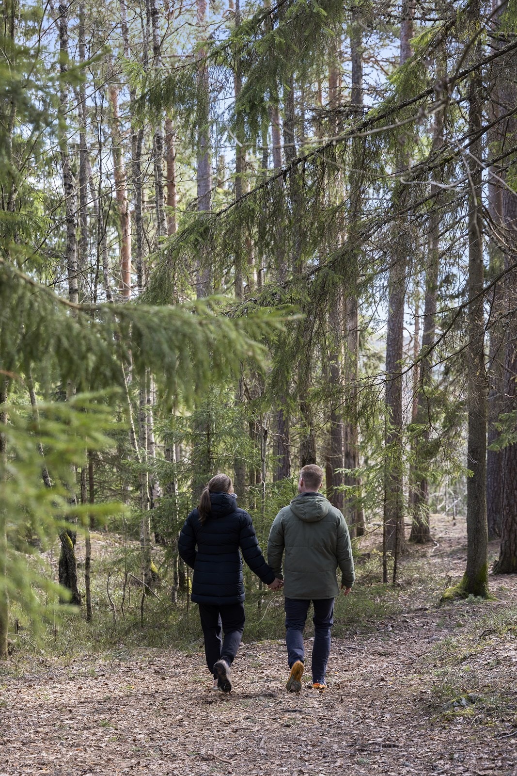 Med et nærområde som byr på umiddelbar tilgang til skog med flotte turstier, finner du balanse mellom et effektivt byliv og rolige, naturskjønne omgivelser. Galleribilde