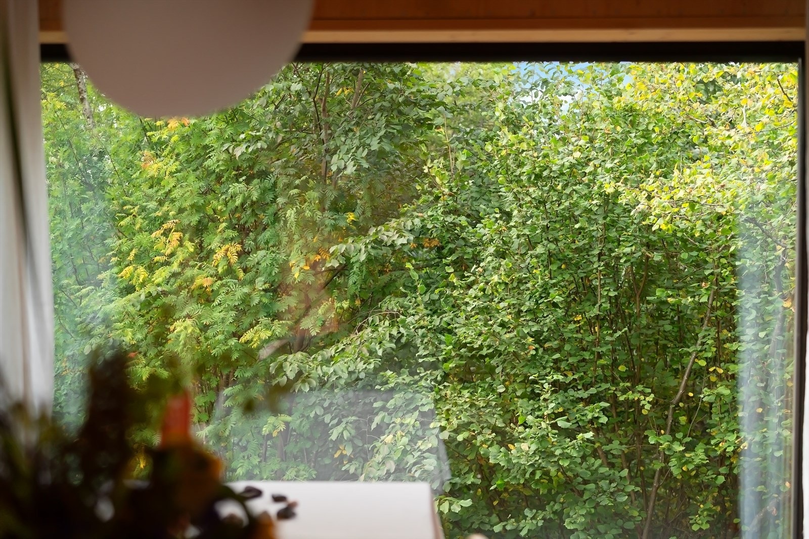 Eiendommen kombinerer moderne komfort og arkitektonisk kvalitet med rolige, grønne omgivelser Galleribilde