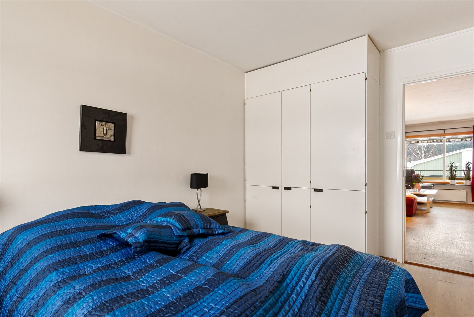 Innebygde skap fra byggeår Galleribilde