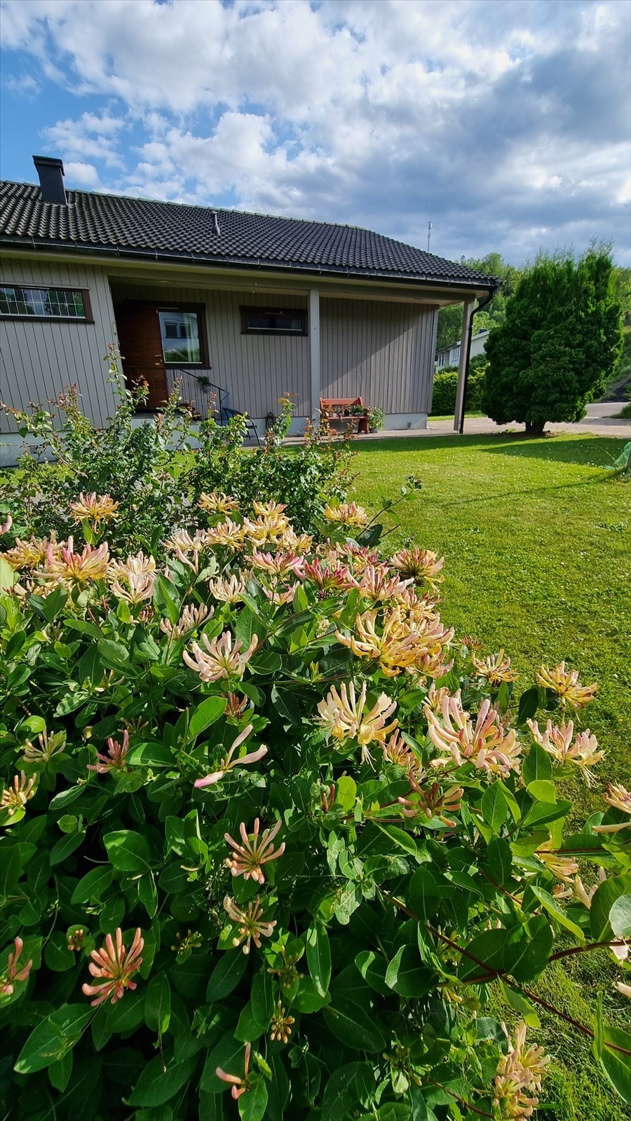 Et rikt utvalg av blomsterbed med stauder, skaper fargeprakt fra tidlig vår til sen høst. Galleribilde