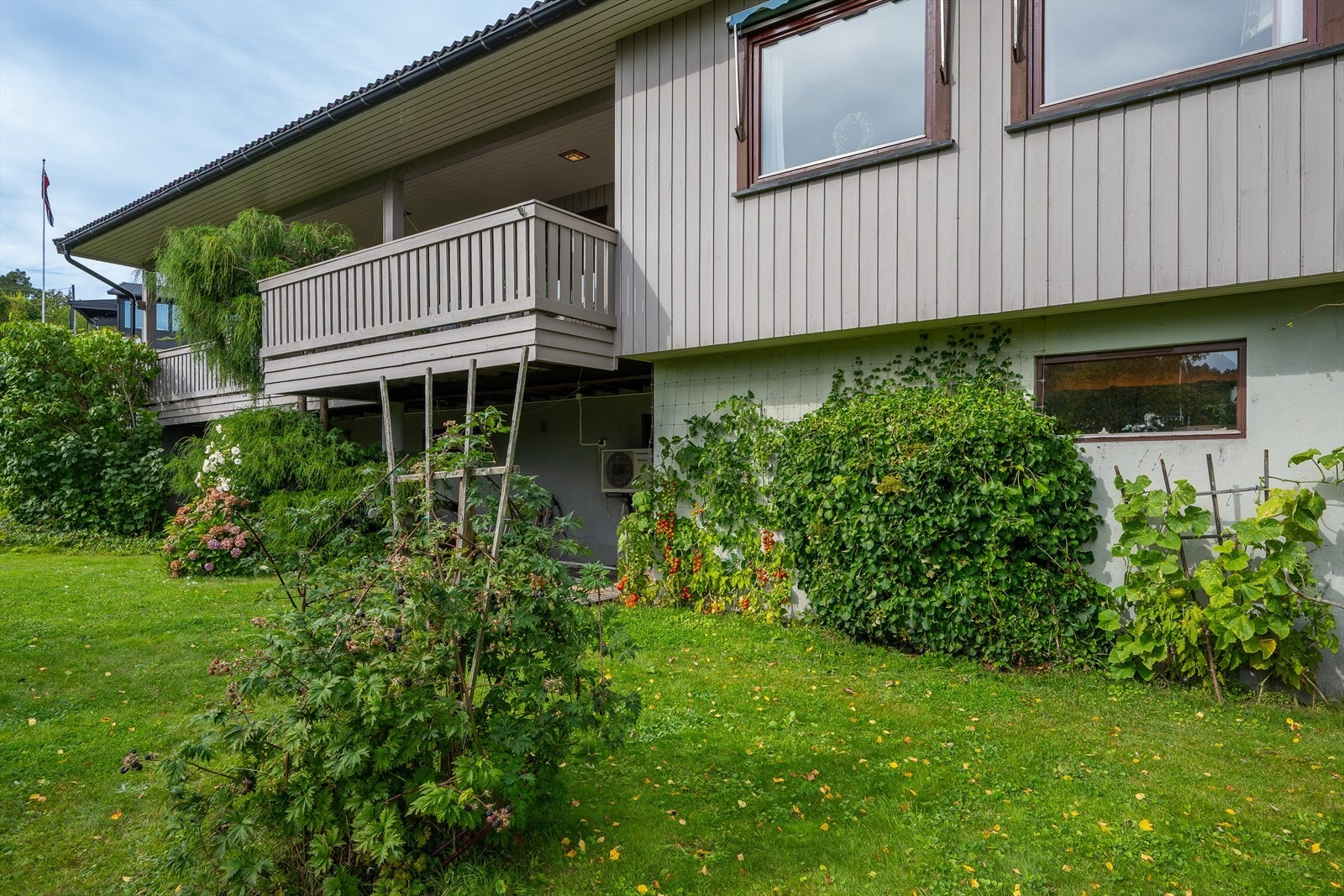 Tomten er et eldorado for hageinteresserte. Galleribilde