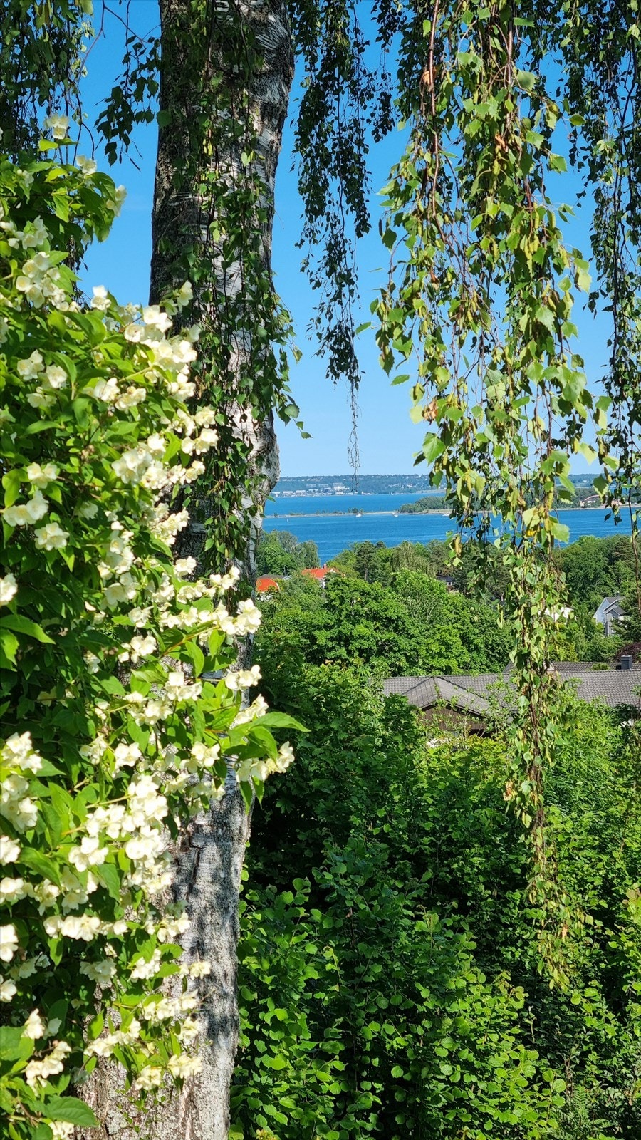 Stemningsbilde Galleribilde