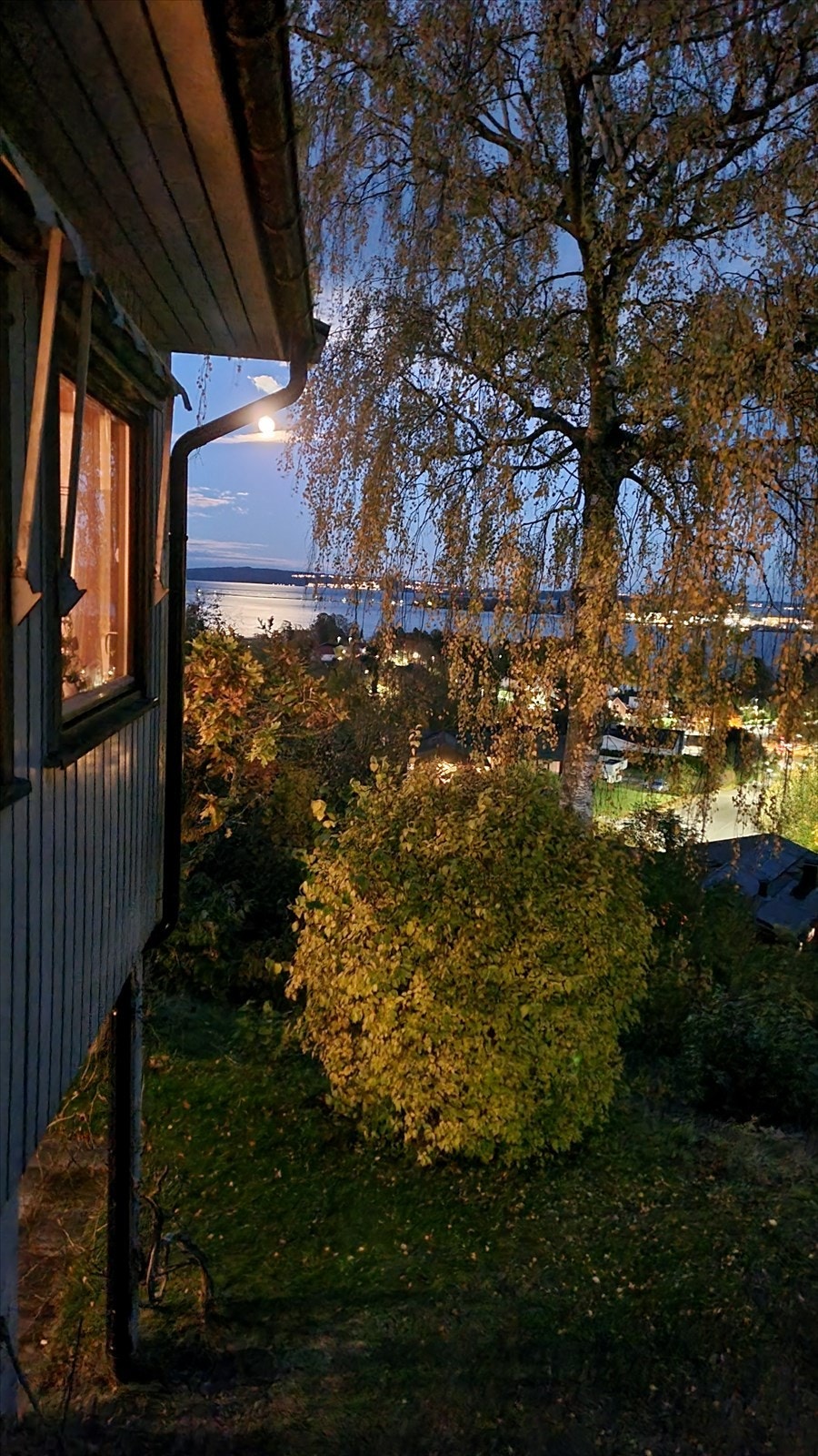 Stemningsbilde Galleribilde