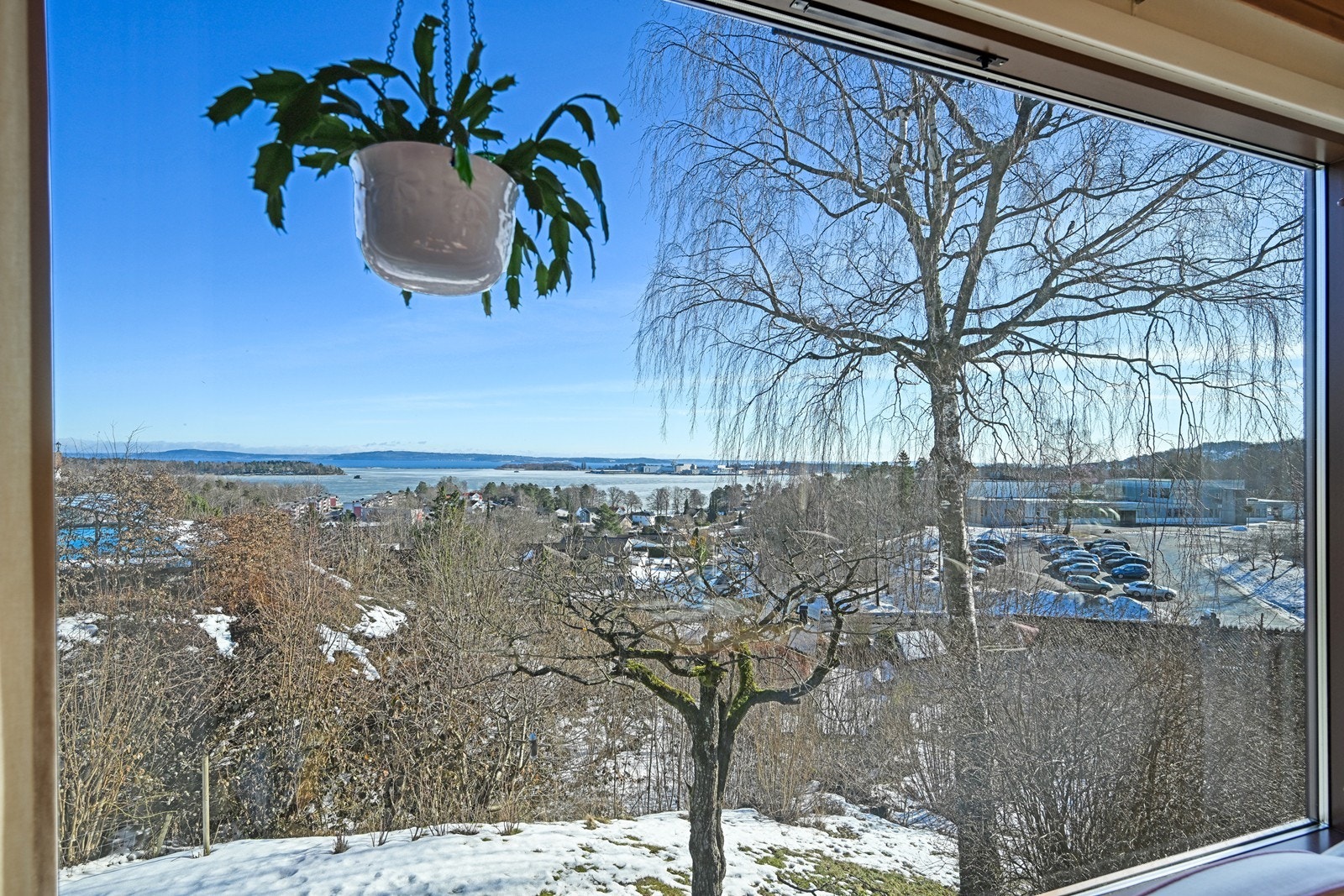 Nyt utsikten fra stuen. Galleribilde